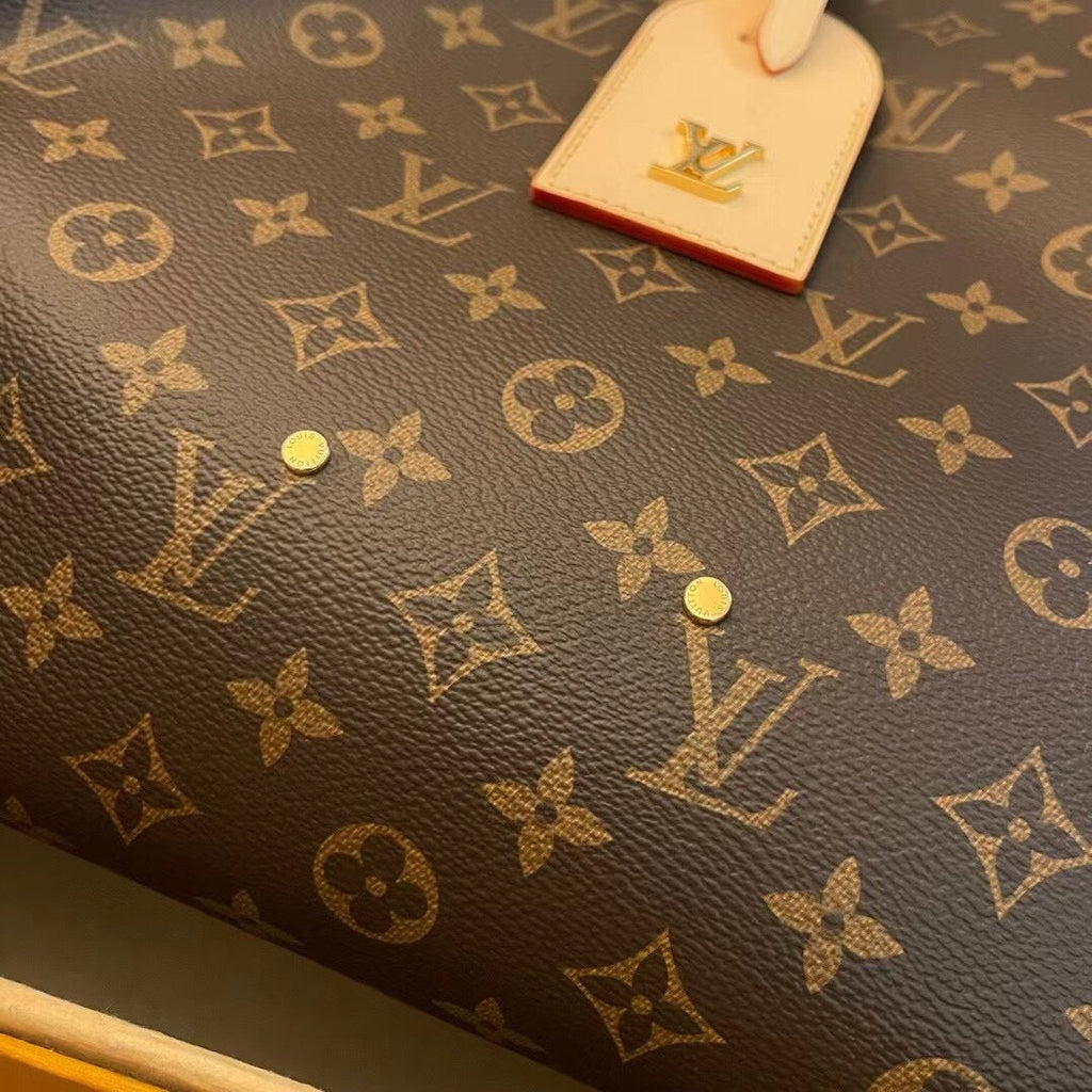 Louis atlantis bag