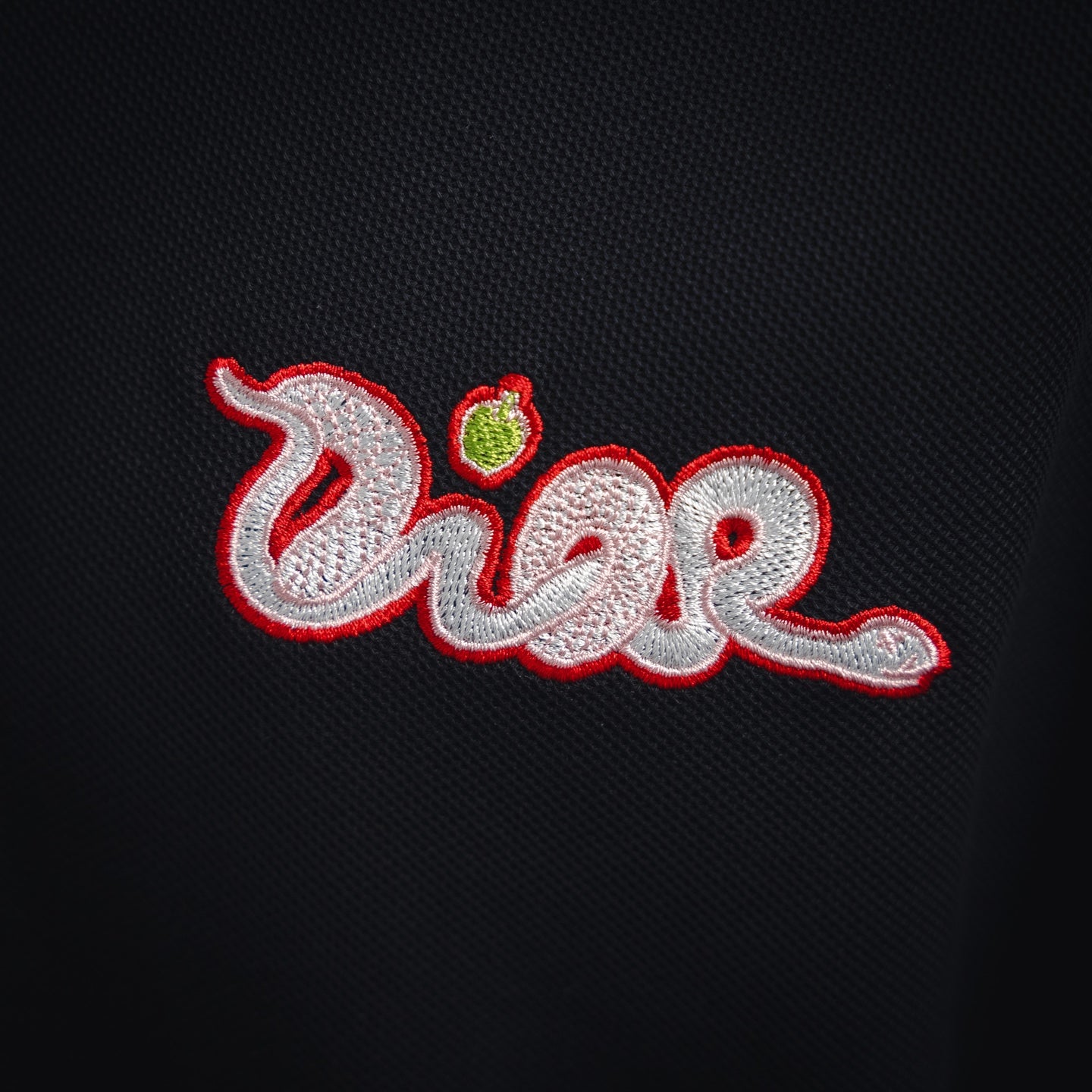 Dio x kaws embroidered POLO