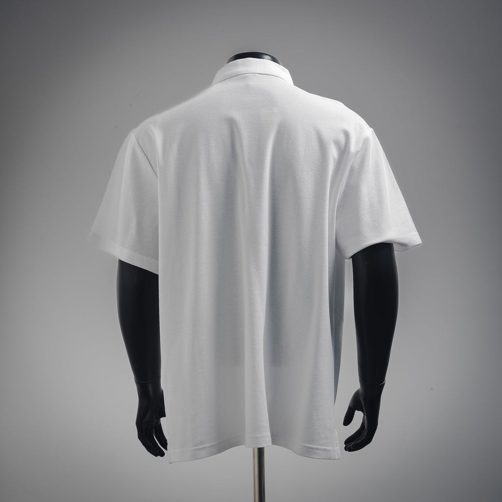 Dio x kaws embroidered POLO