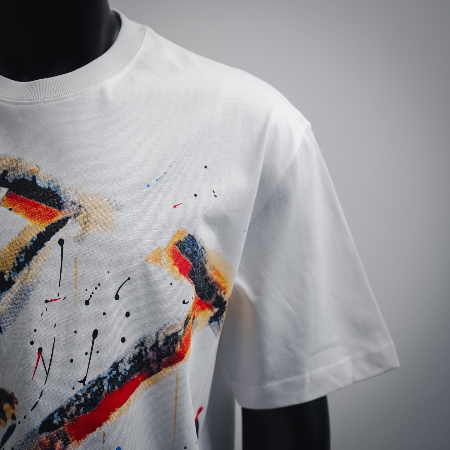 Louis 25ss printed t-shirt