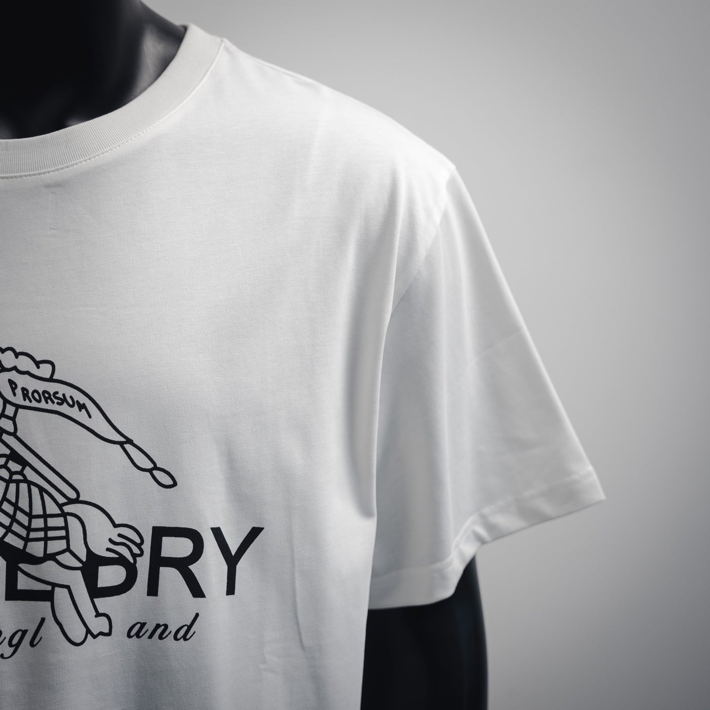 Burber 25ss print t-shirt