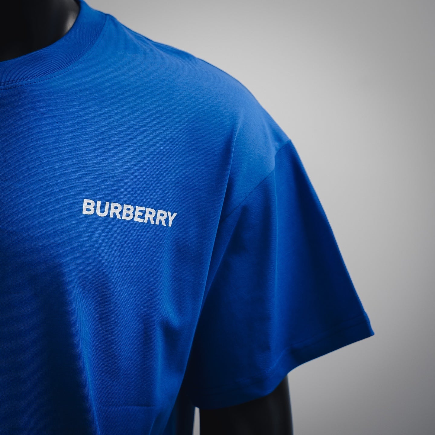 burber 25ss print t-shirt