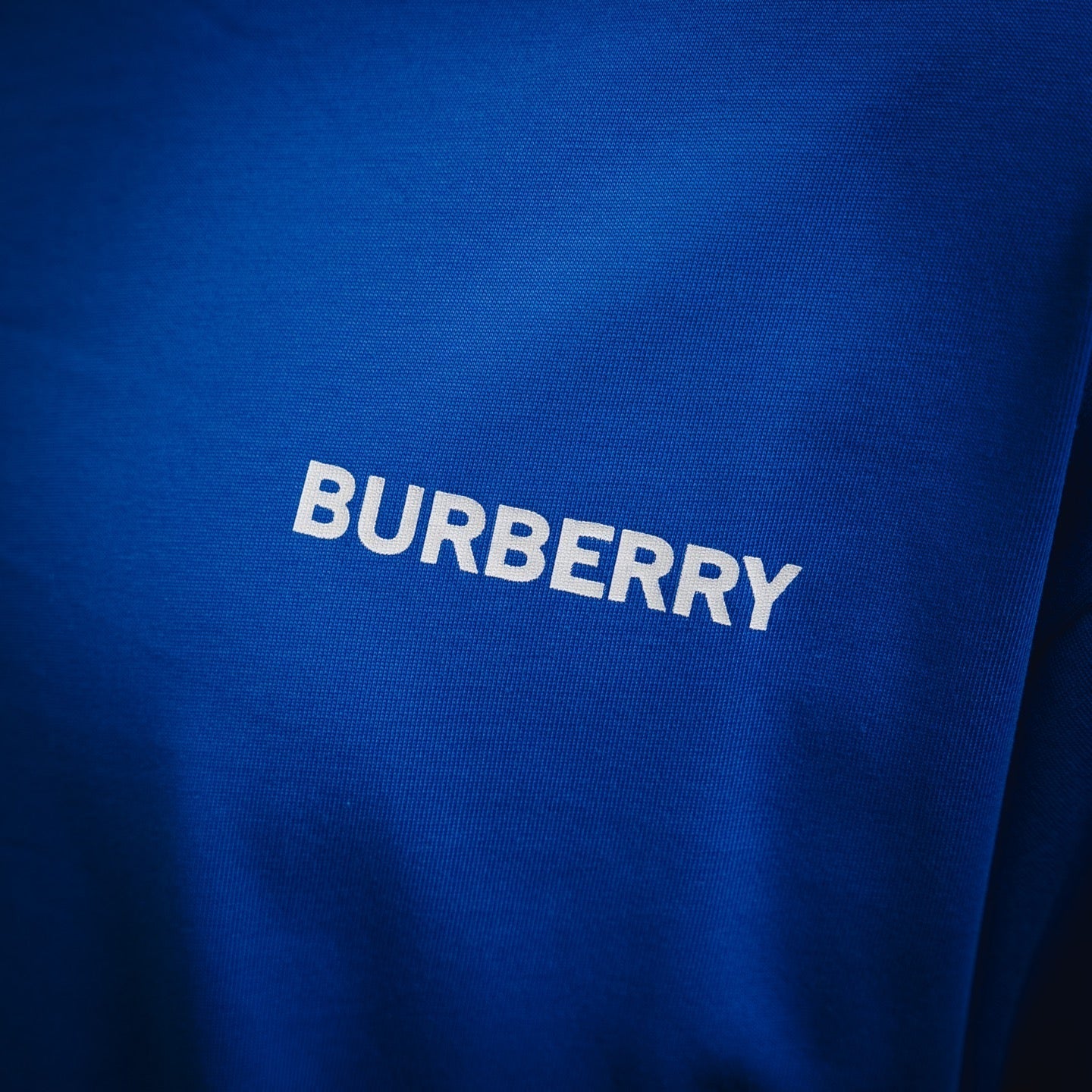 burber 25ss print t-shirt