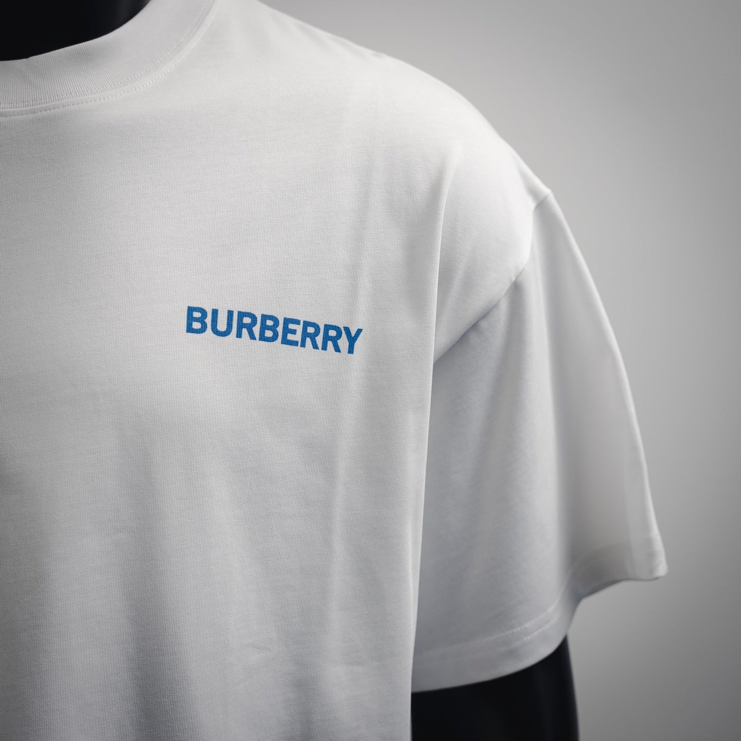 burber 25ss print t-shirt