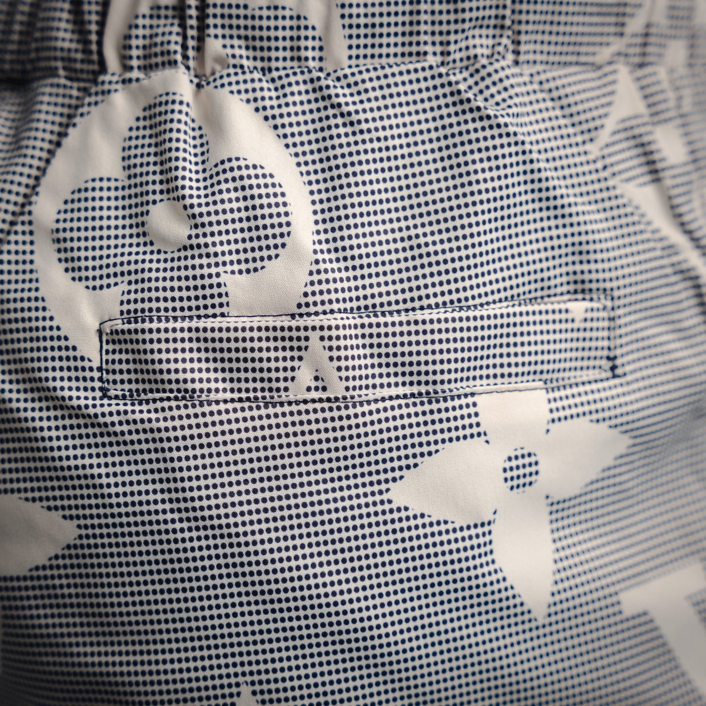 Louis 25ss monogram shorts