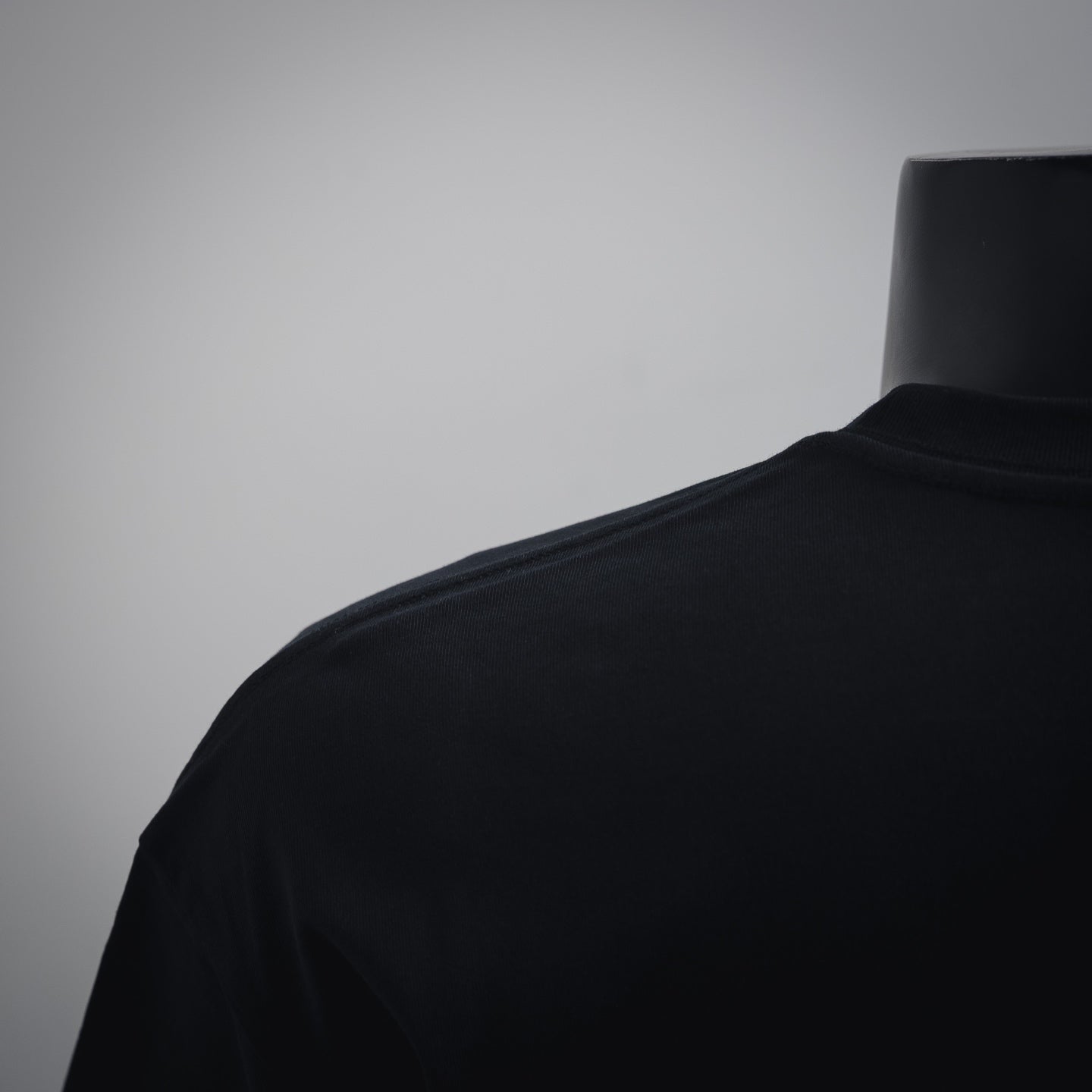 ralph 25ss embroidered t-shirt