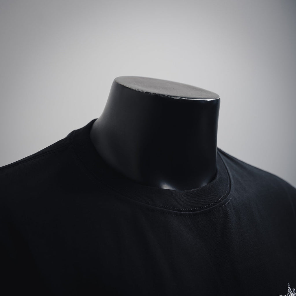 ralph 25ss embroidered t-shirt