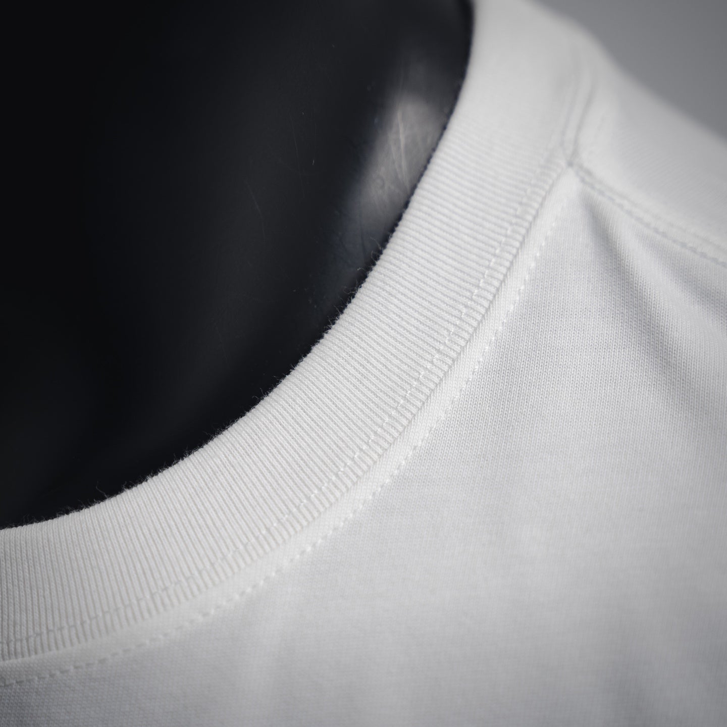 ralph 25ss embroidered t-shirt