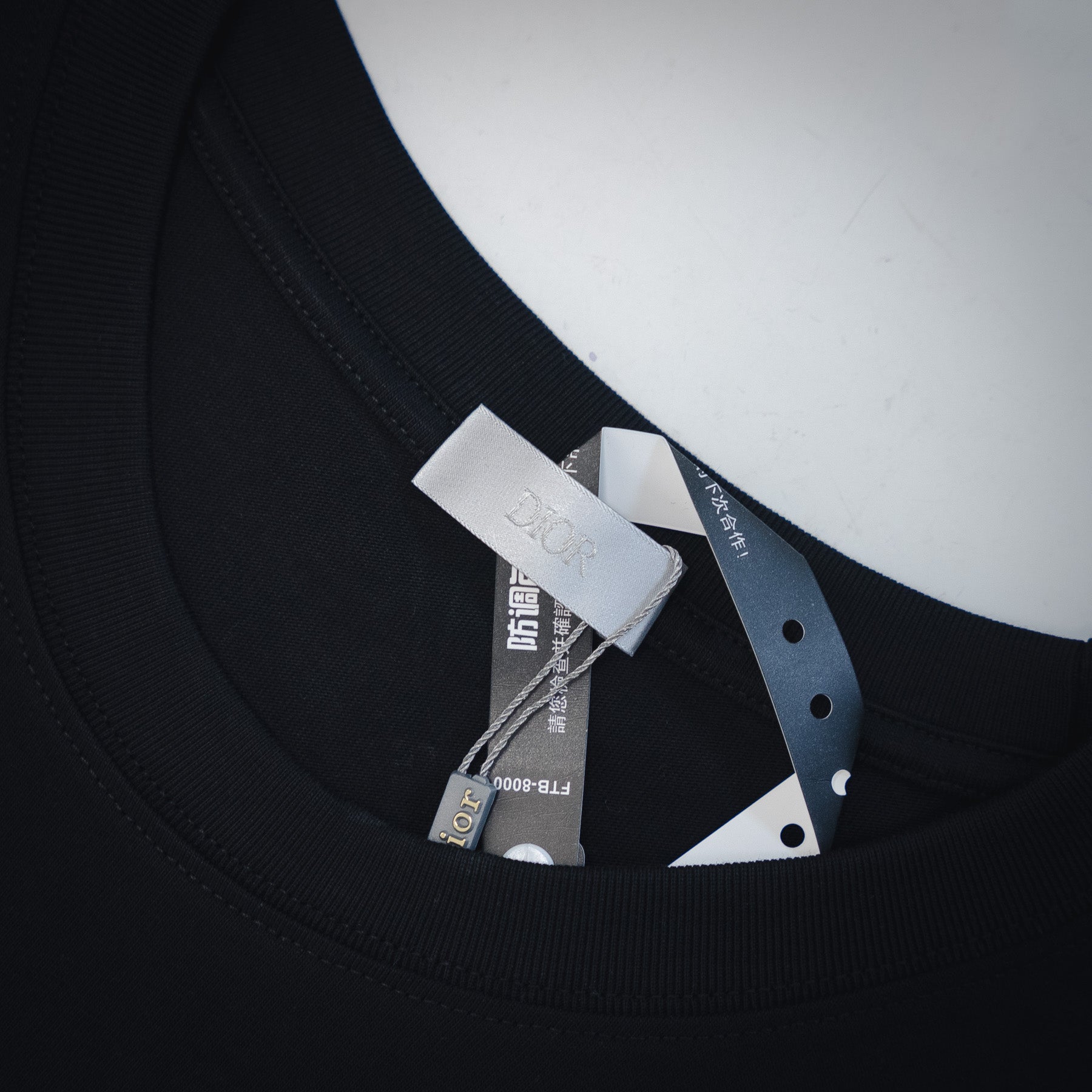 Dio 25ss embroidered t-shirt