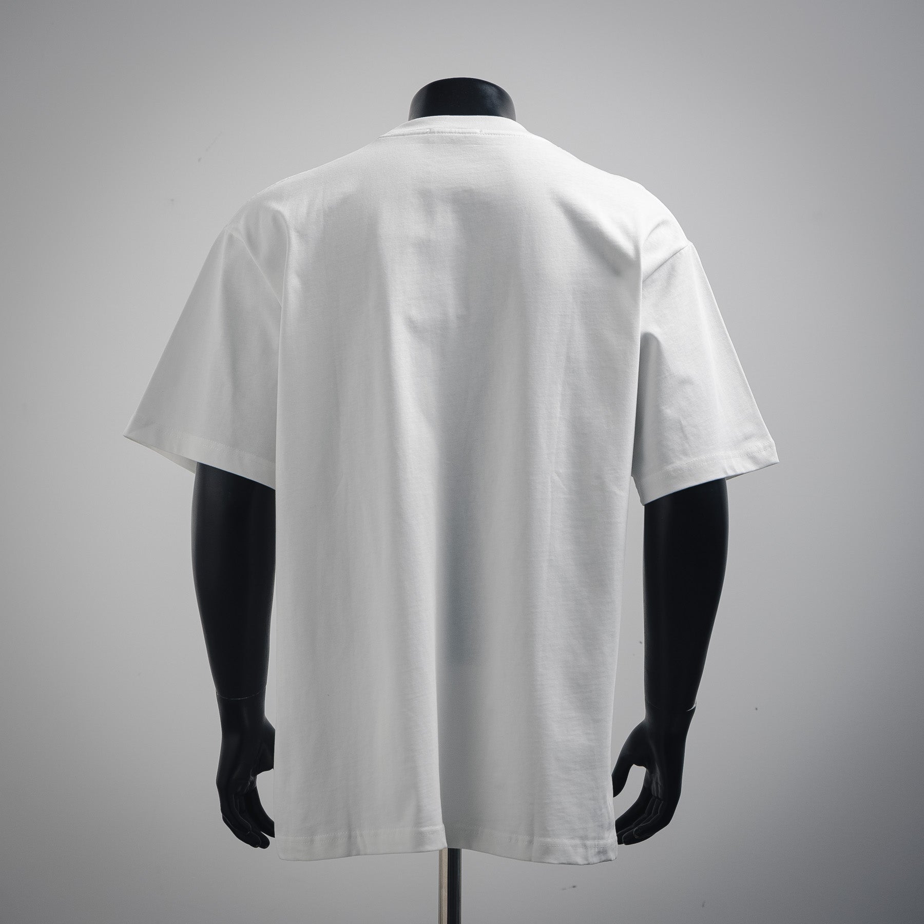 Pra 25ss print t-shirt