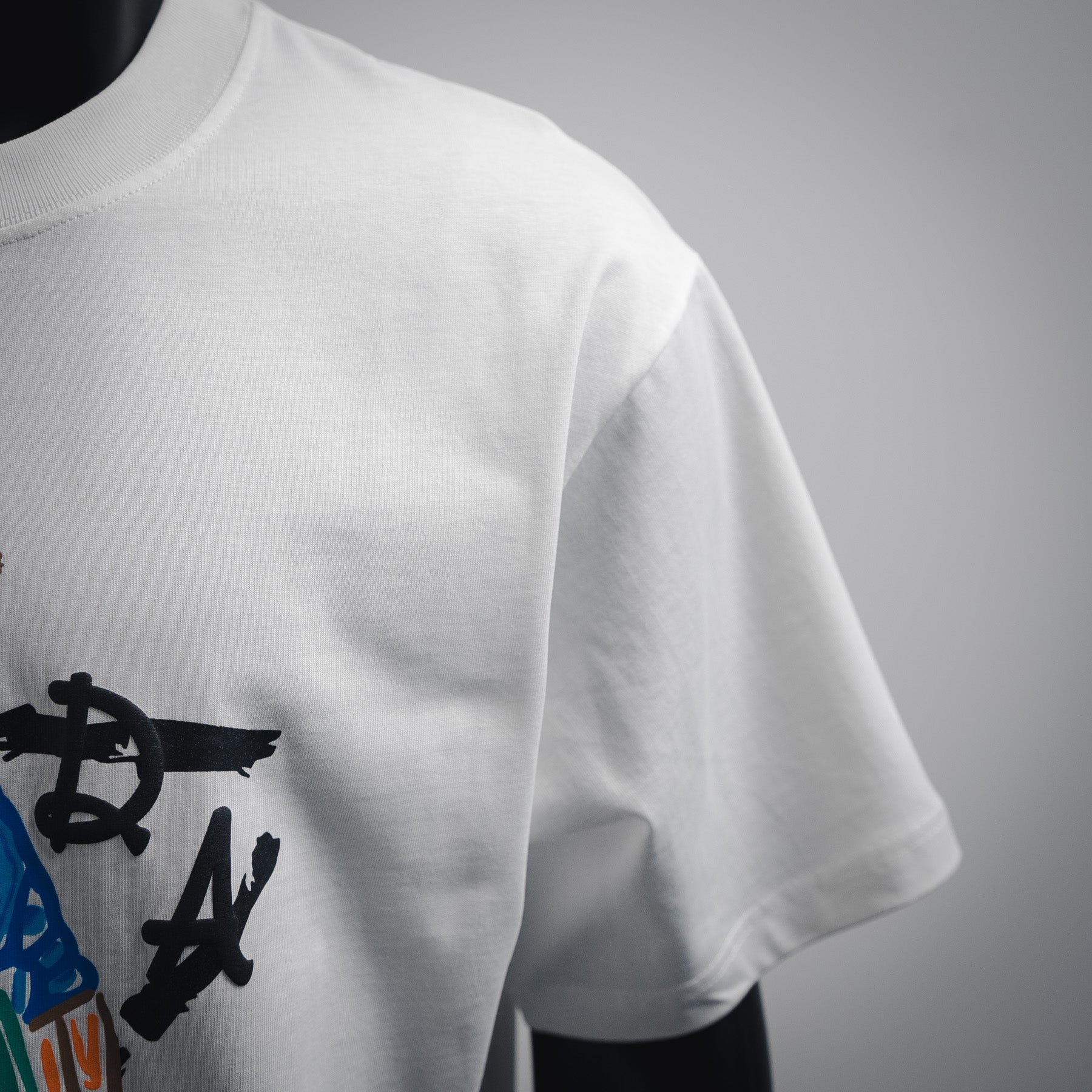 Pra 25ss print t-shirt