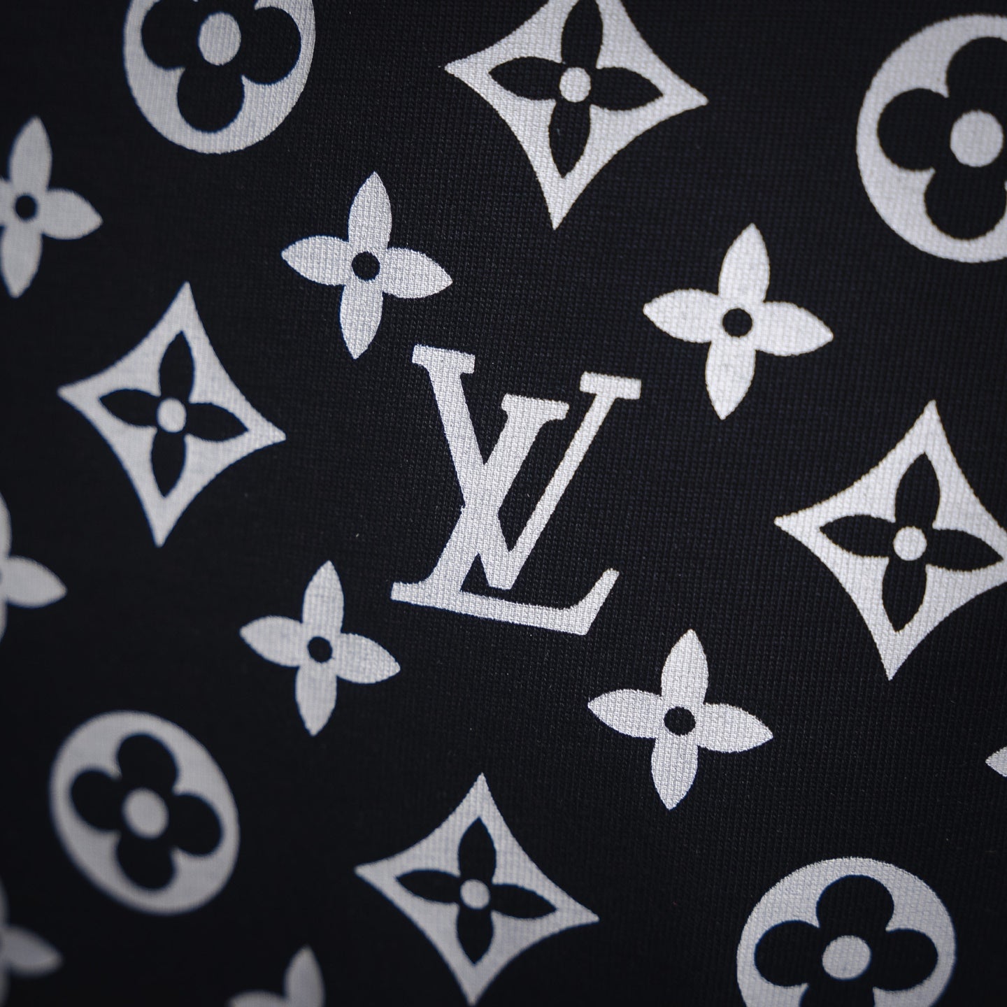 Louis 25ss monogram t-shirt