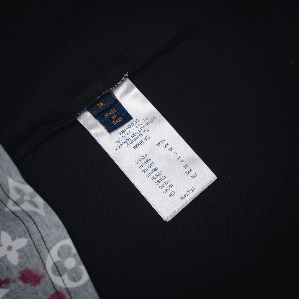 Louis 25ss monogram t-shirt