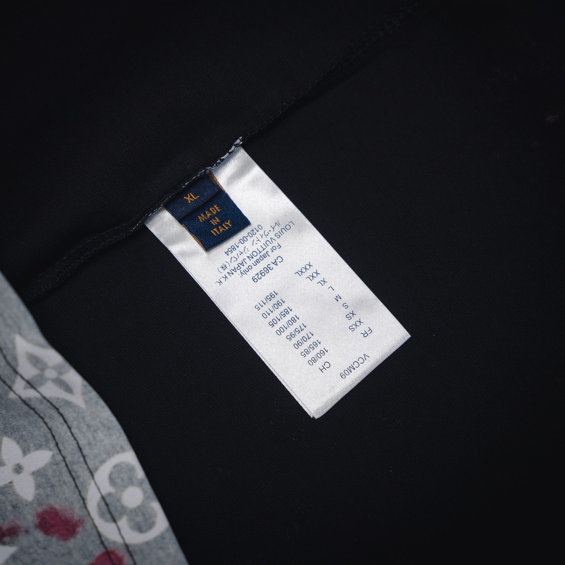 Louis 25ss monogram t-shirt