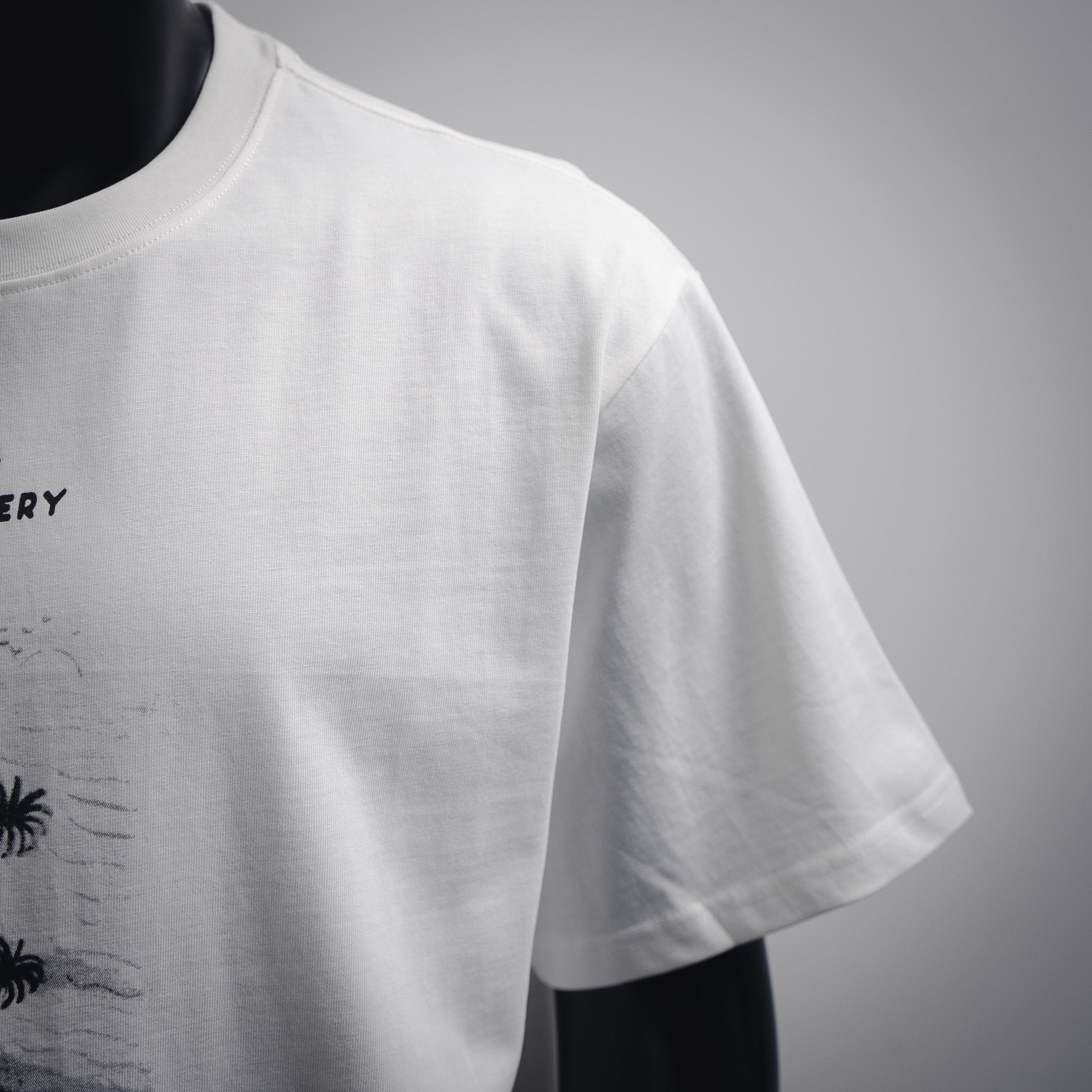 Acne 25ss print t-shirt