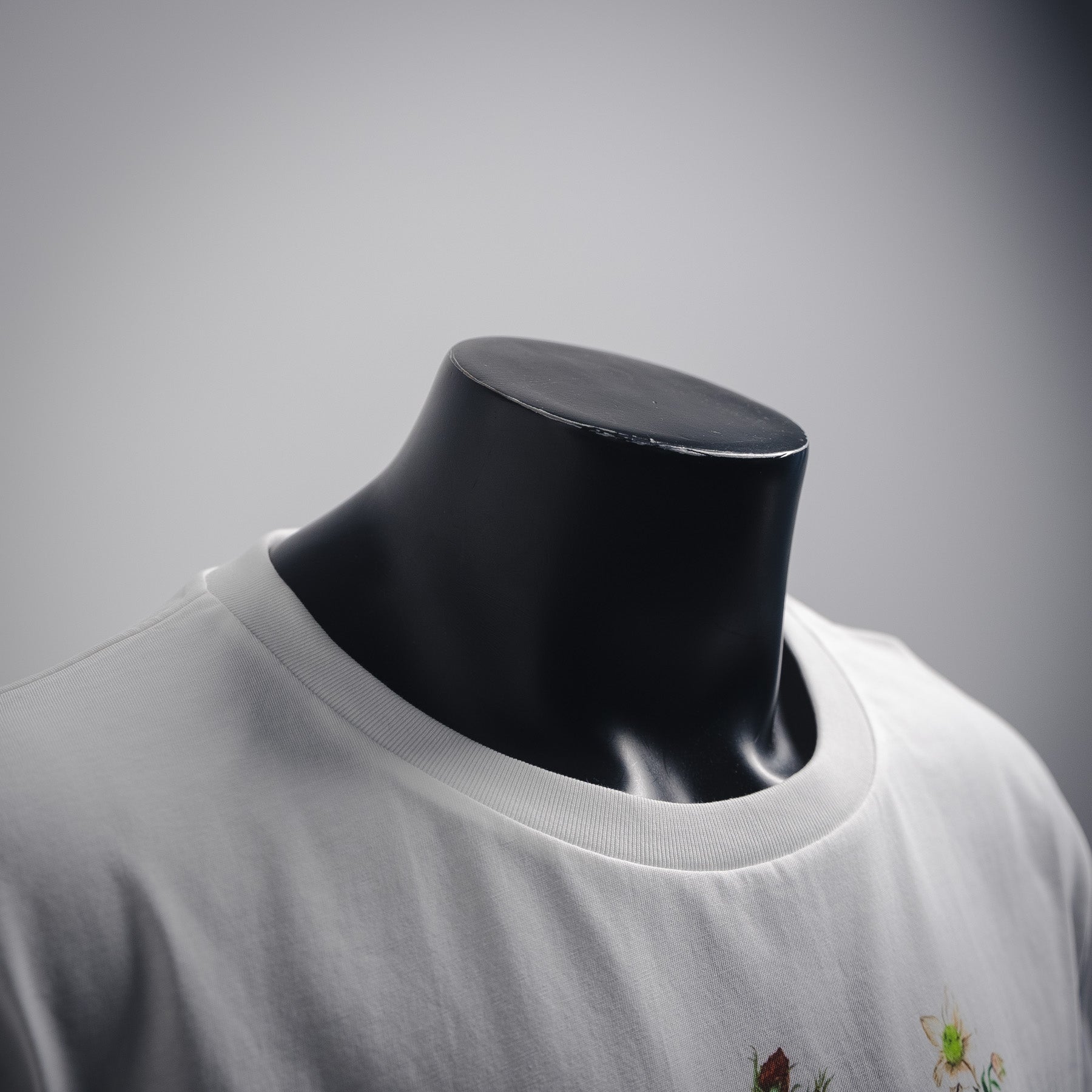 Dio 25ss print t-shirt