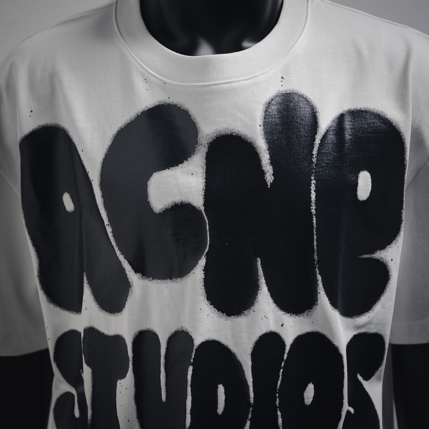 acne 25ss print t-shirt
