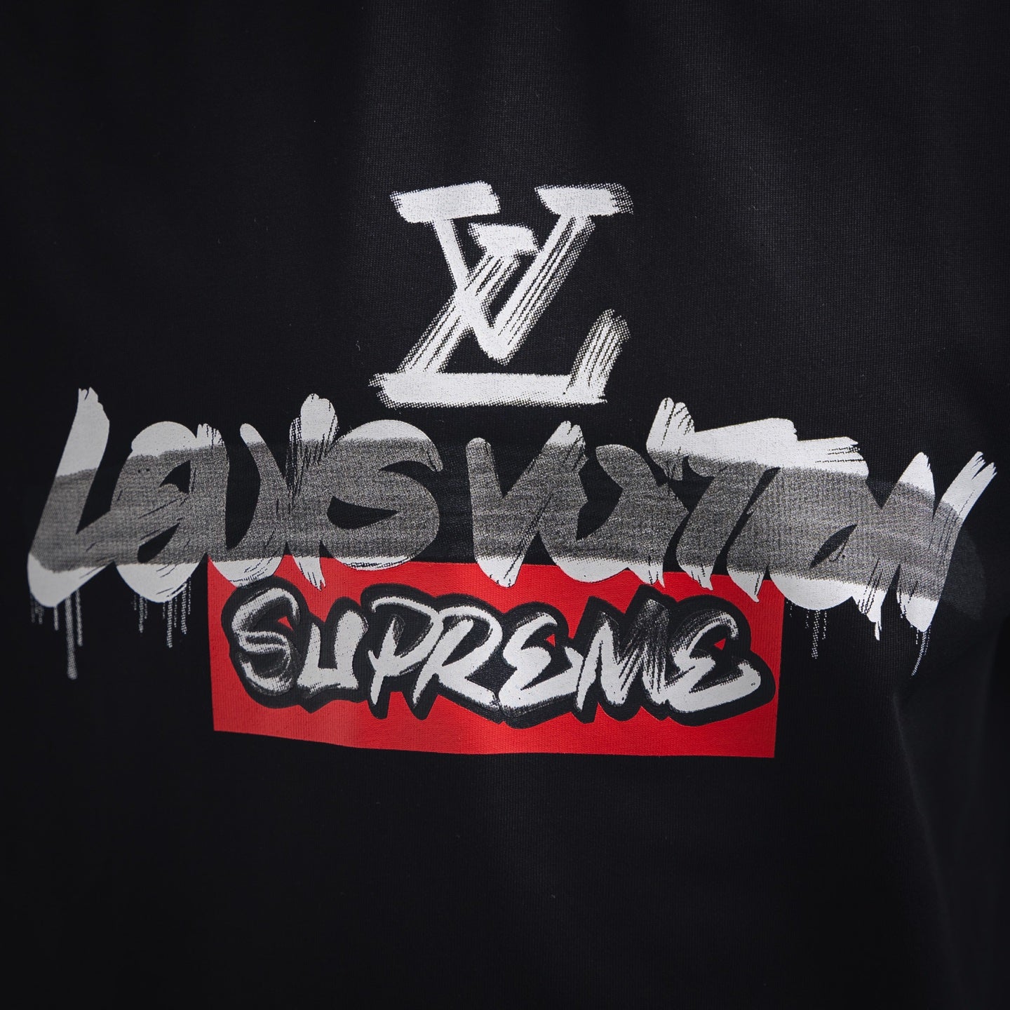 Louis 25ss print t-shirt