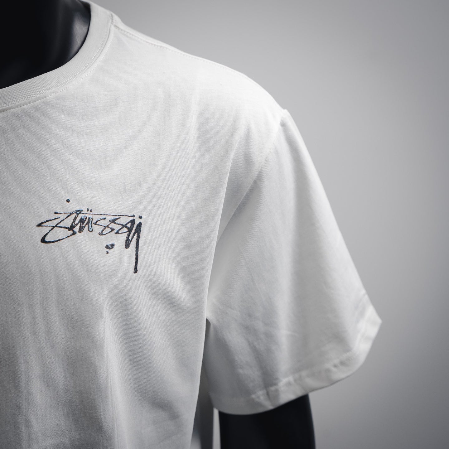 Stus 25ss  print t-shirt