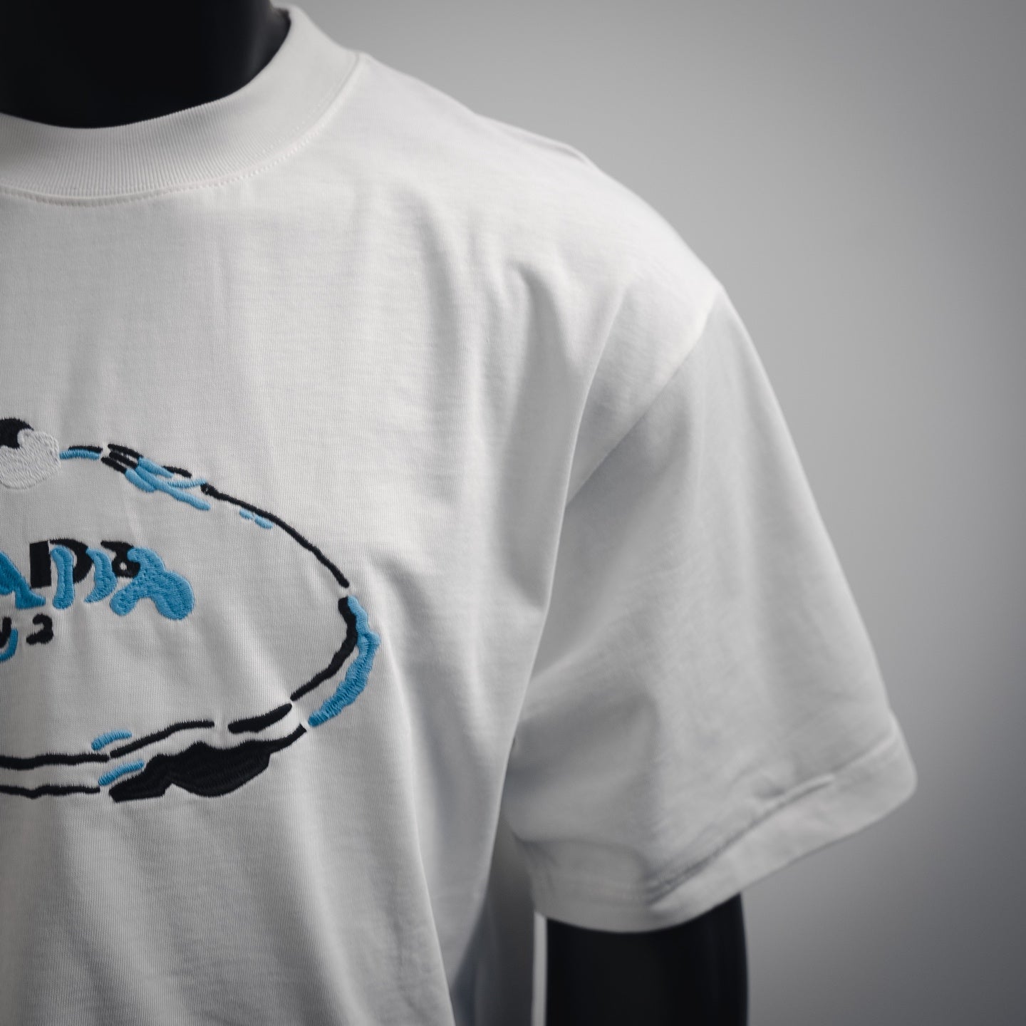 Pra 25ss print t-shirt