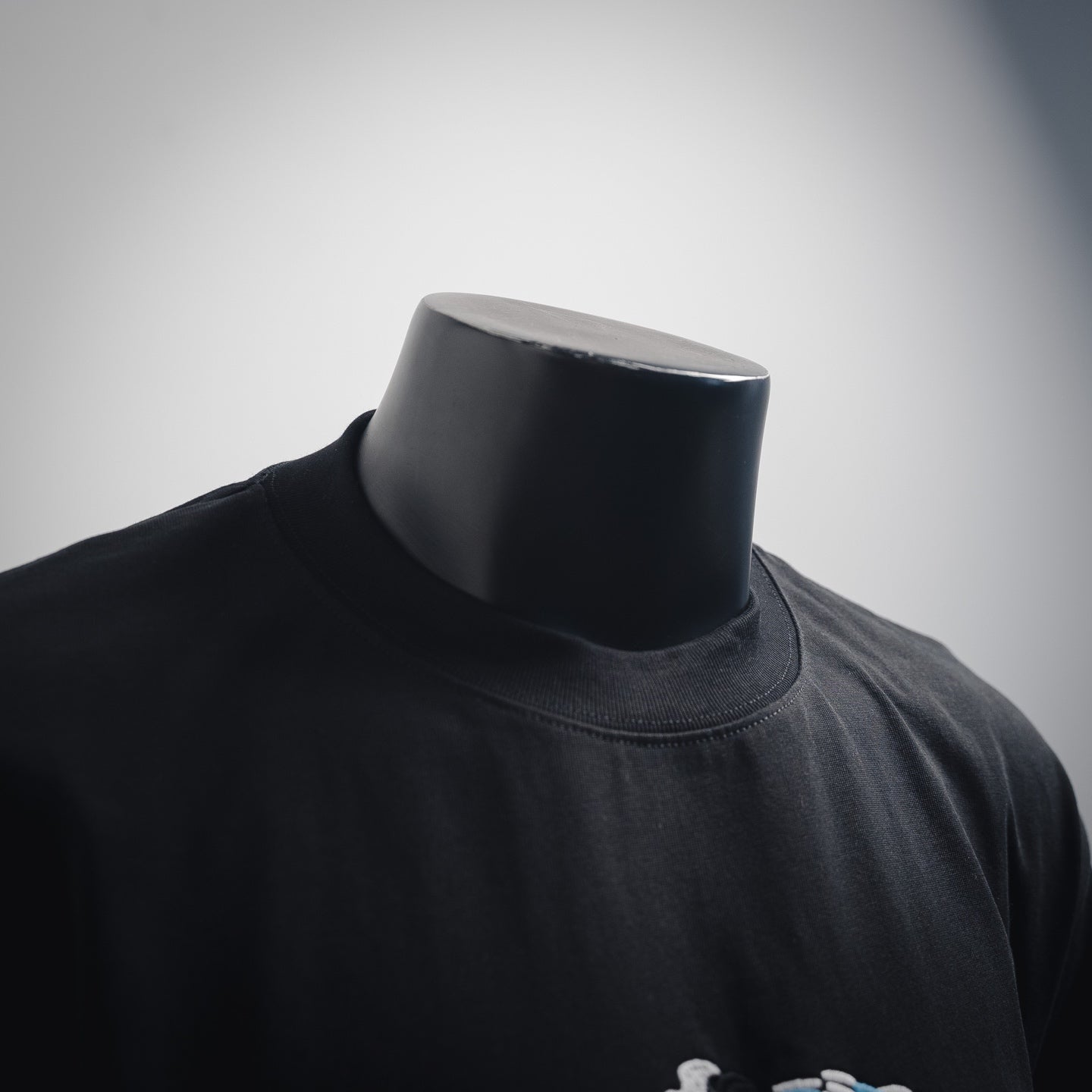 Pra 25ss print t-shirt