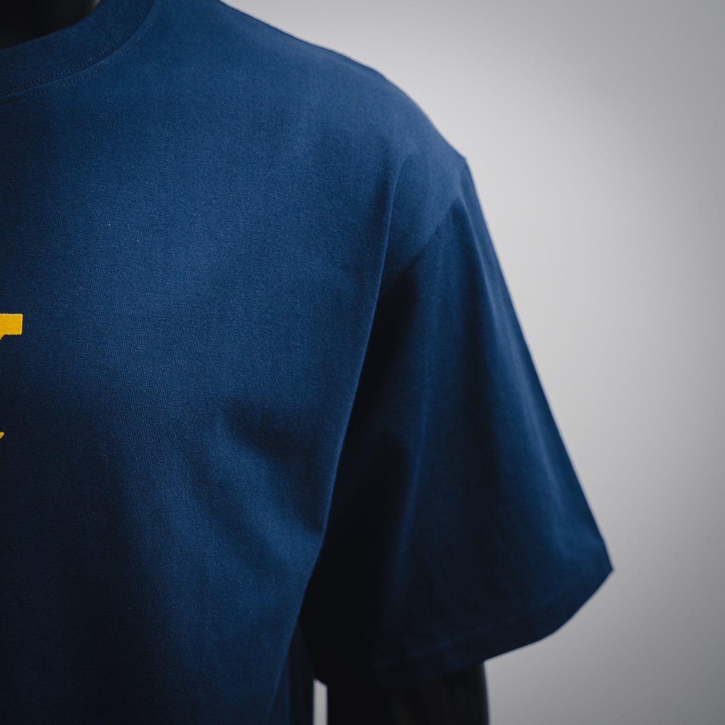 Louis 25ss flocking t-shirt