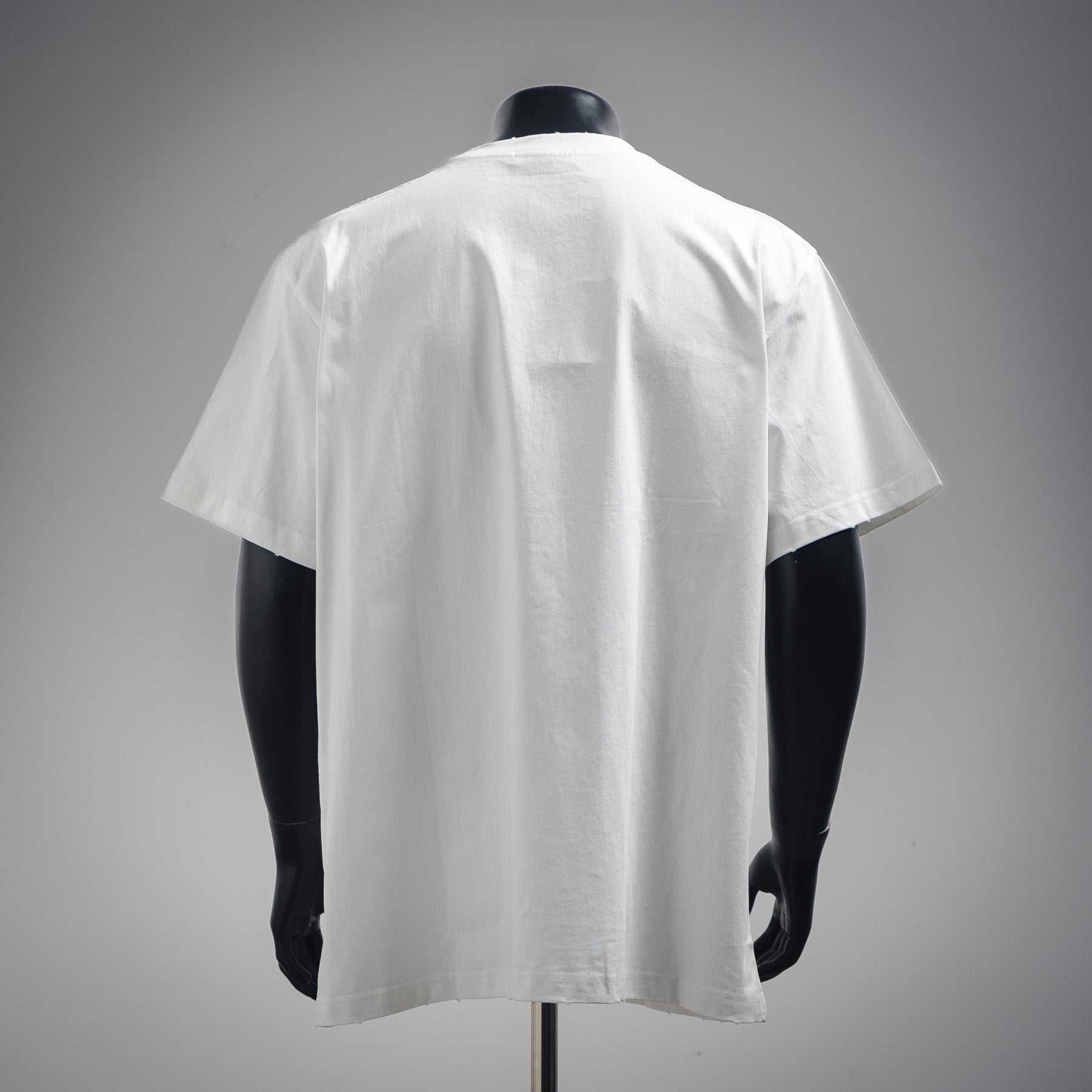 Pra 25ss print t-shirt