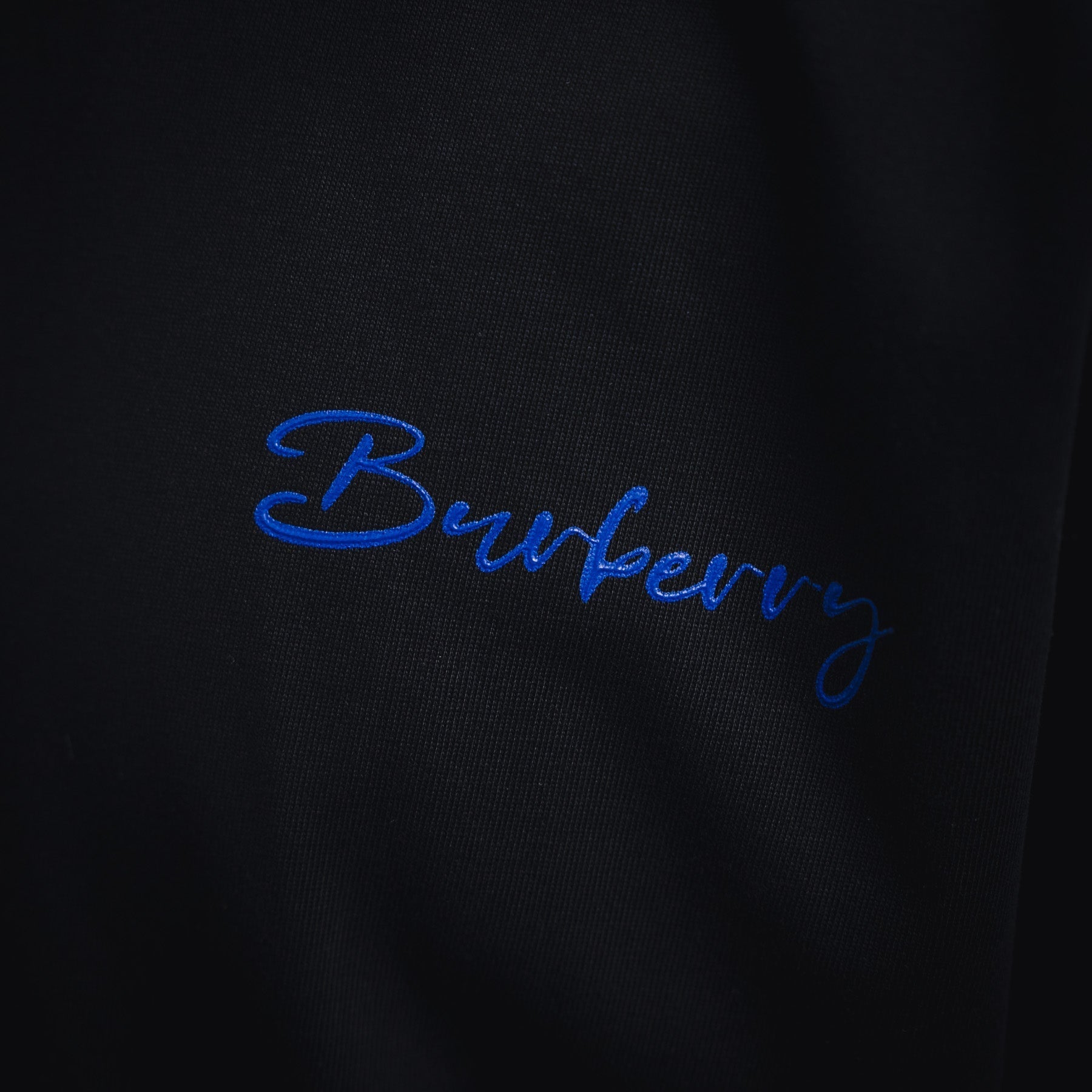 Burber 25ss print t-shirt