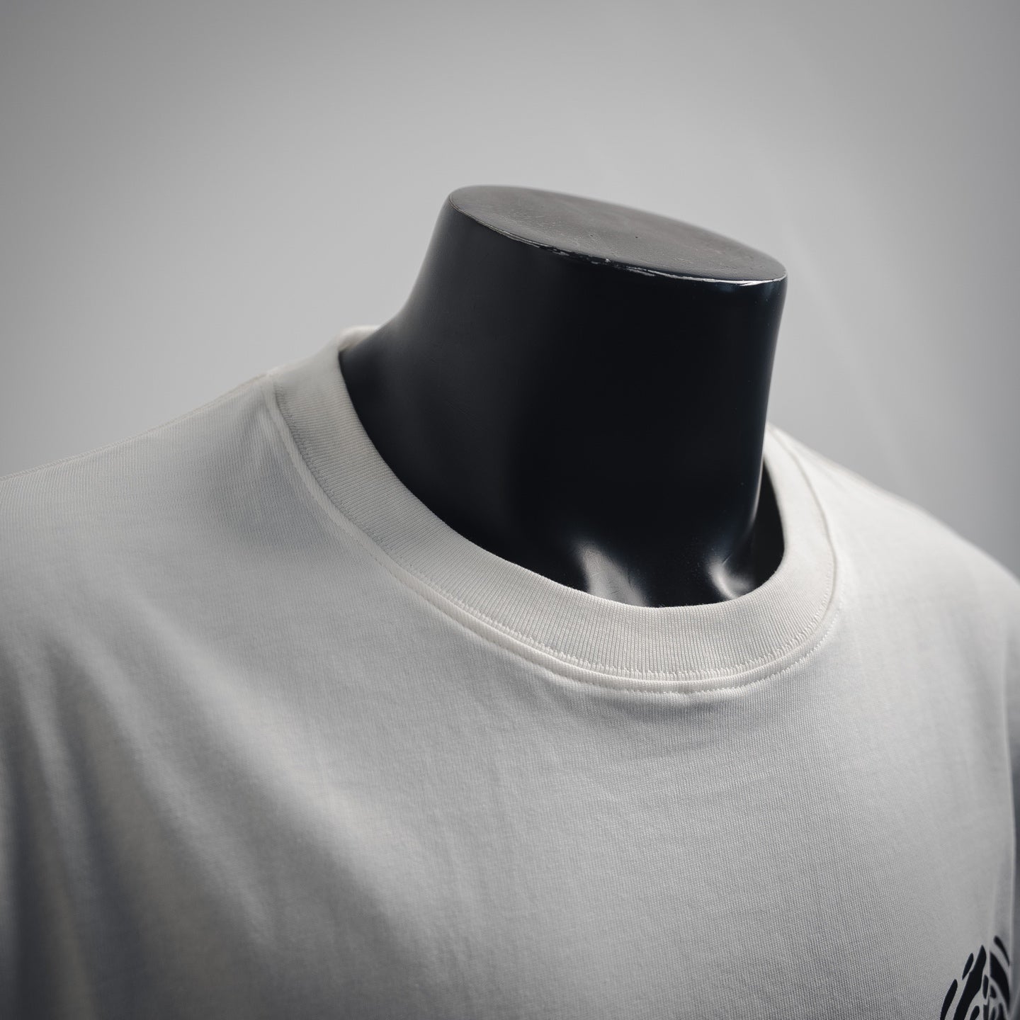 Chan 25ss print t-shirt