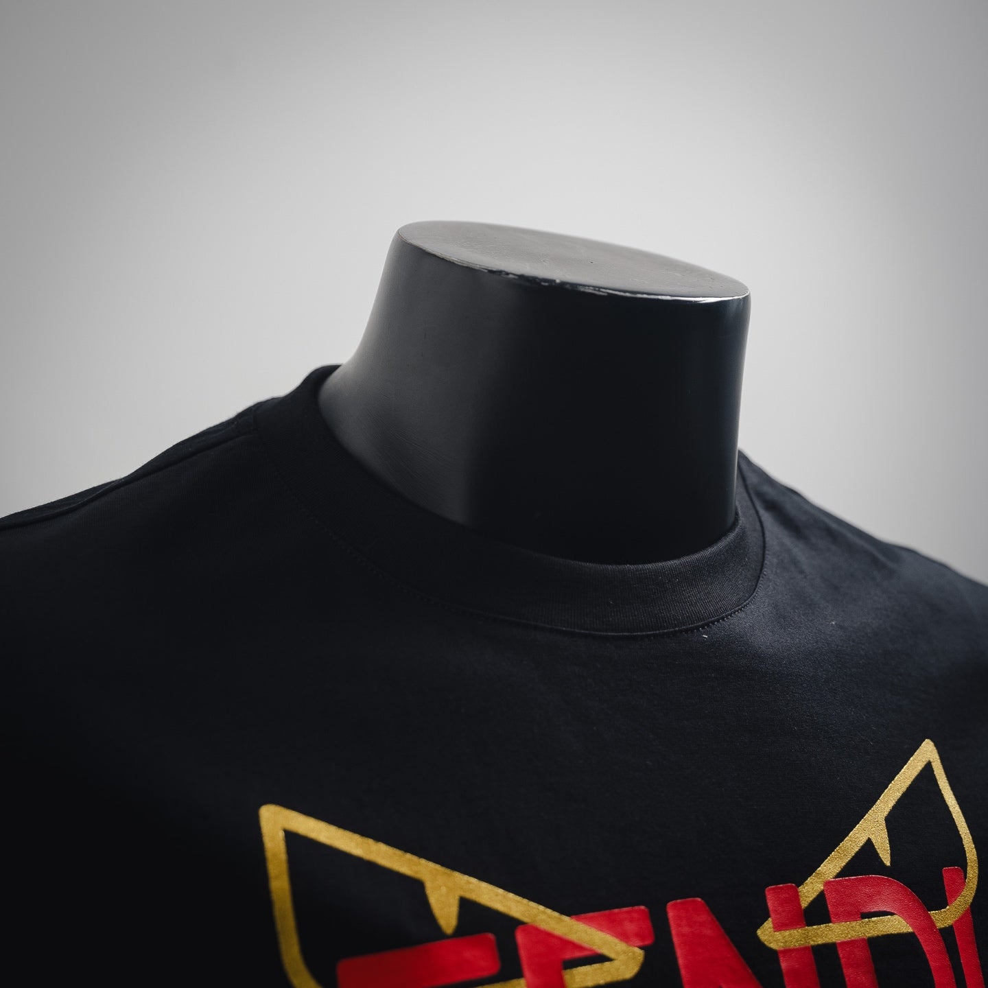 Fend 25ss print t-shirt