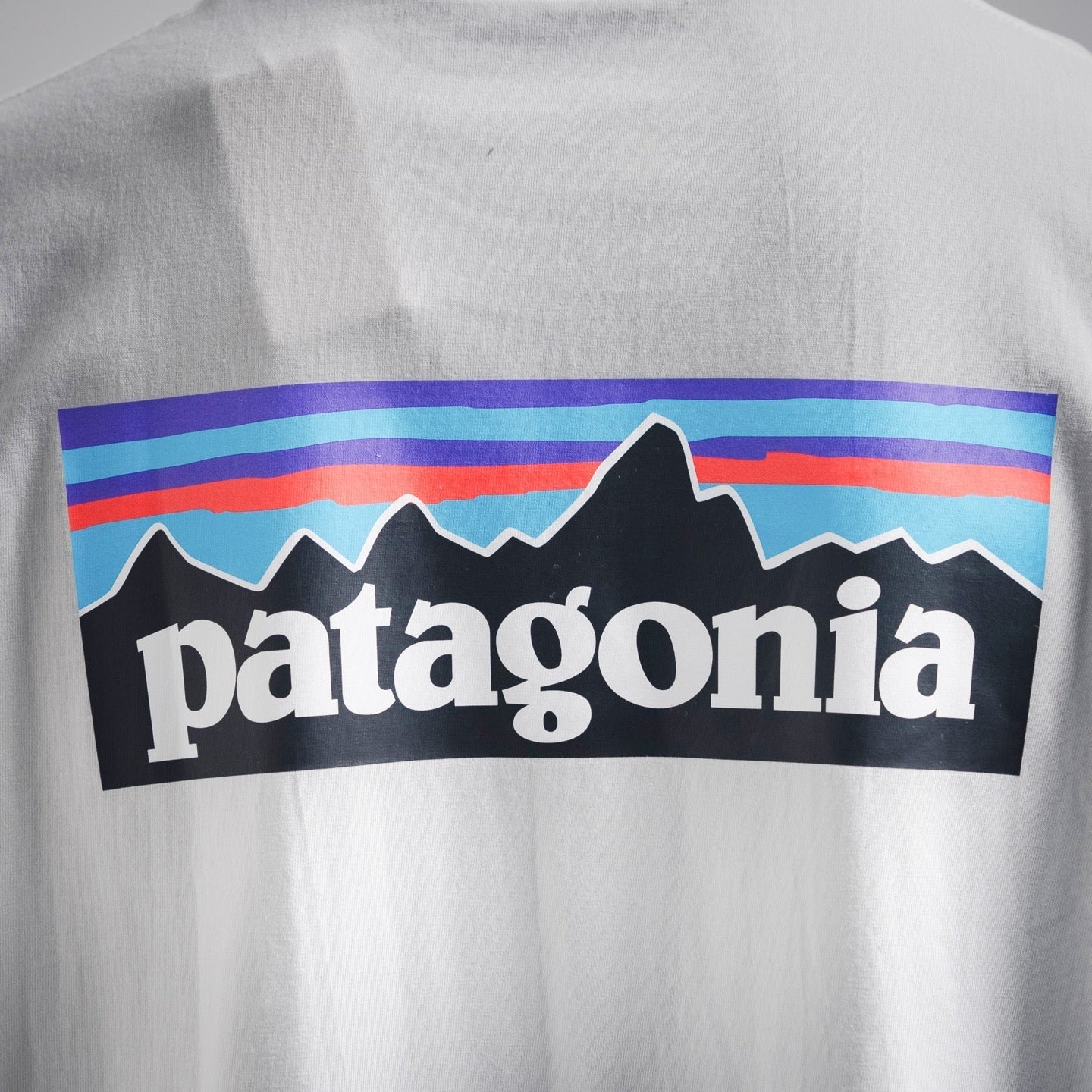 Patag 25ss print t-shirt