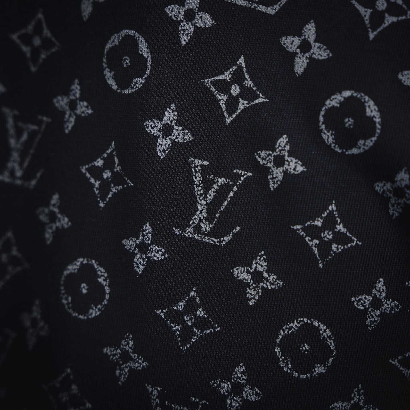 Louis 25ss print t-shirt