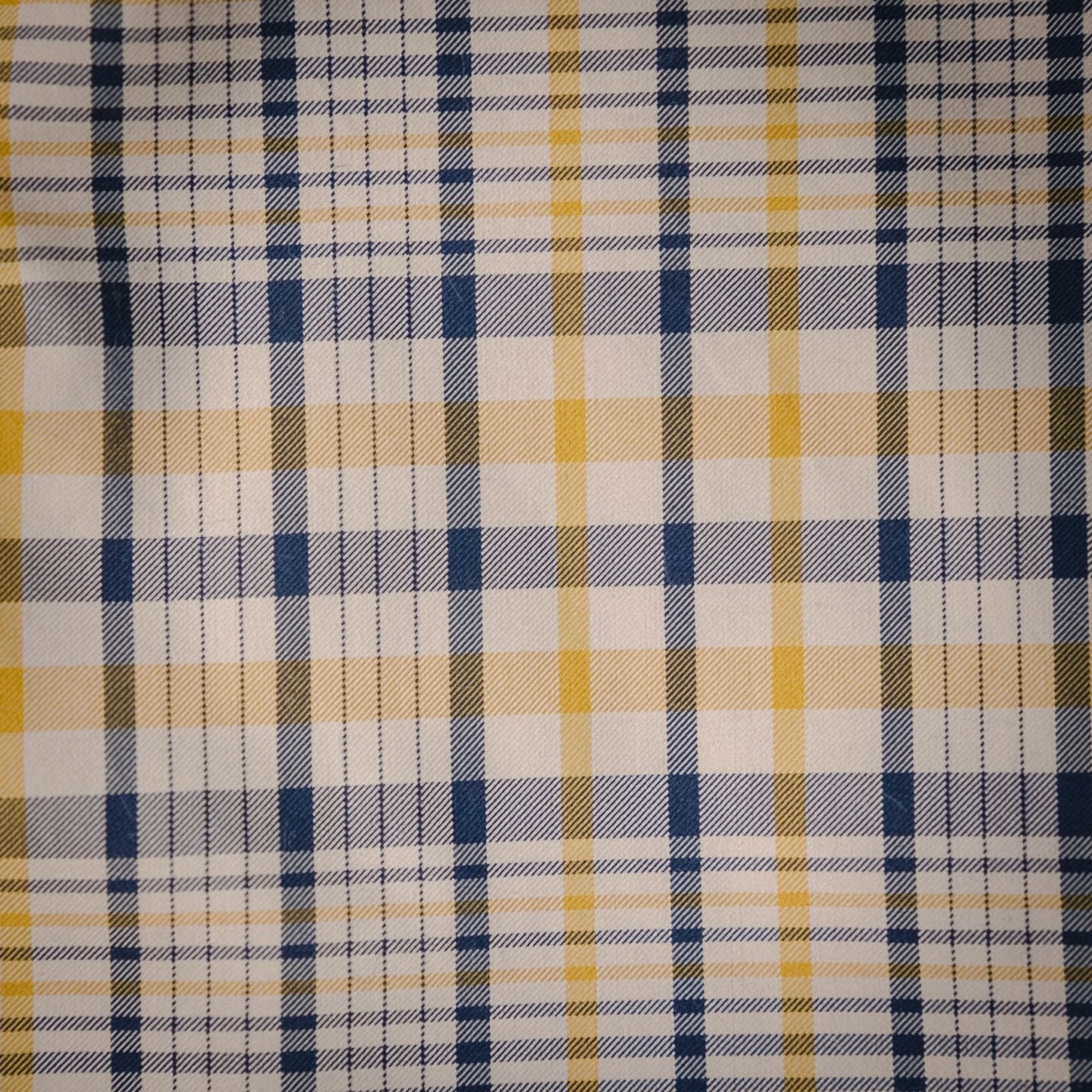 CD 25ss jacquard short