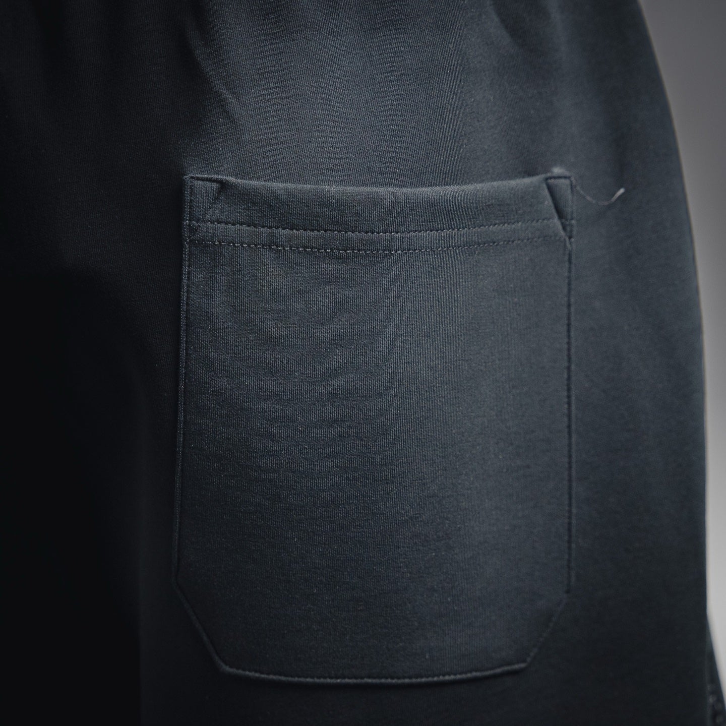 Fend 25ss embroidered short