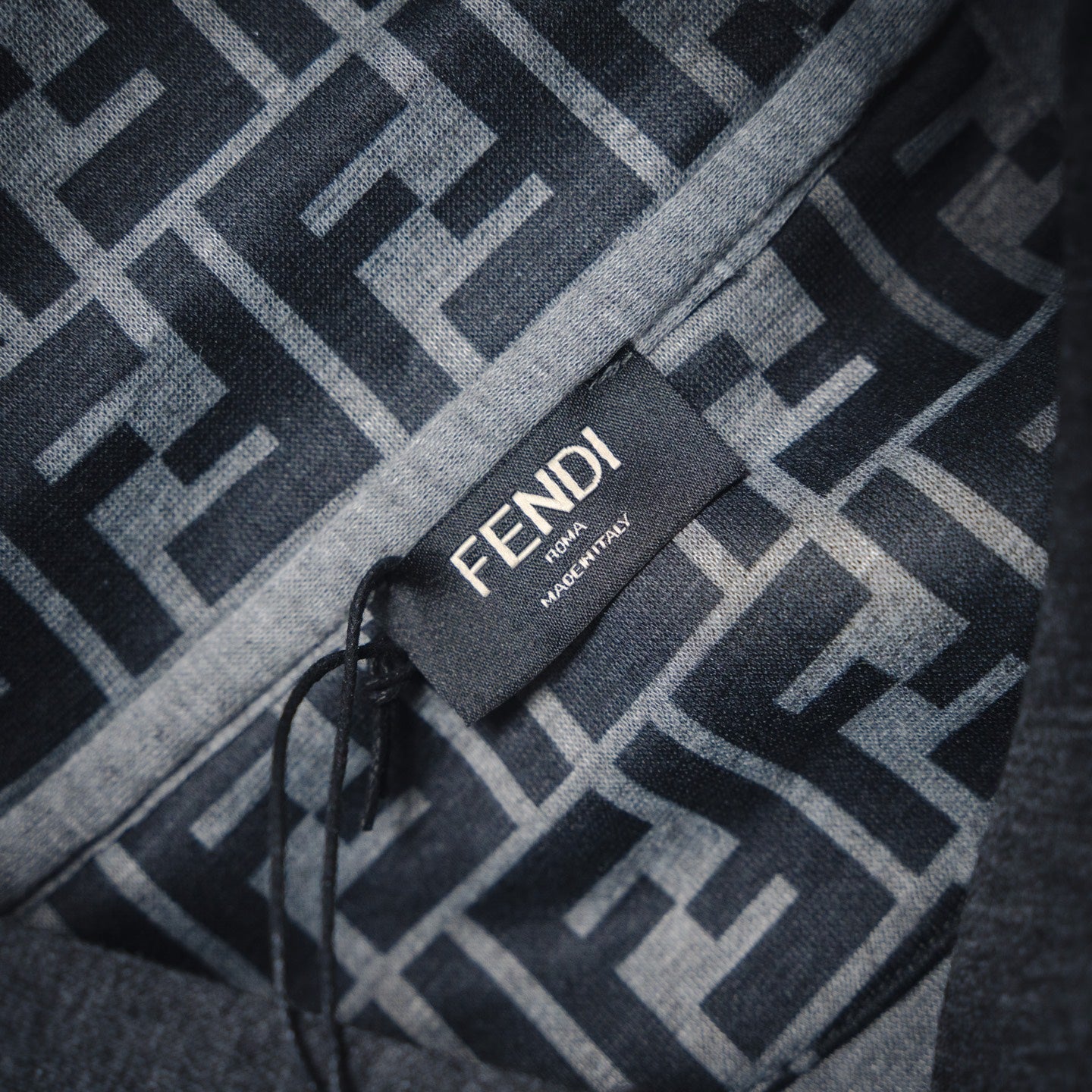 Fend embroidered hoodie