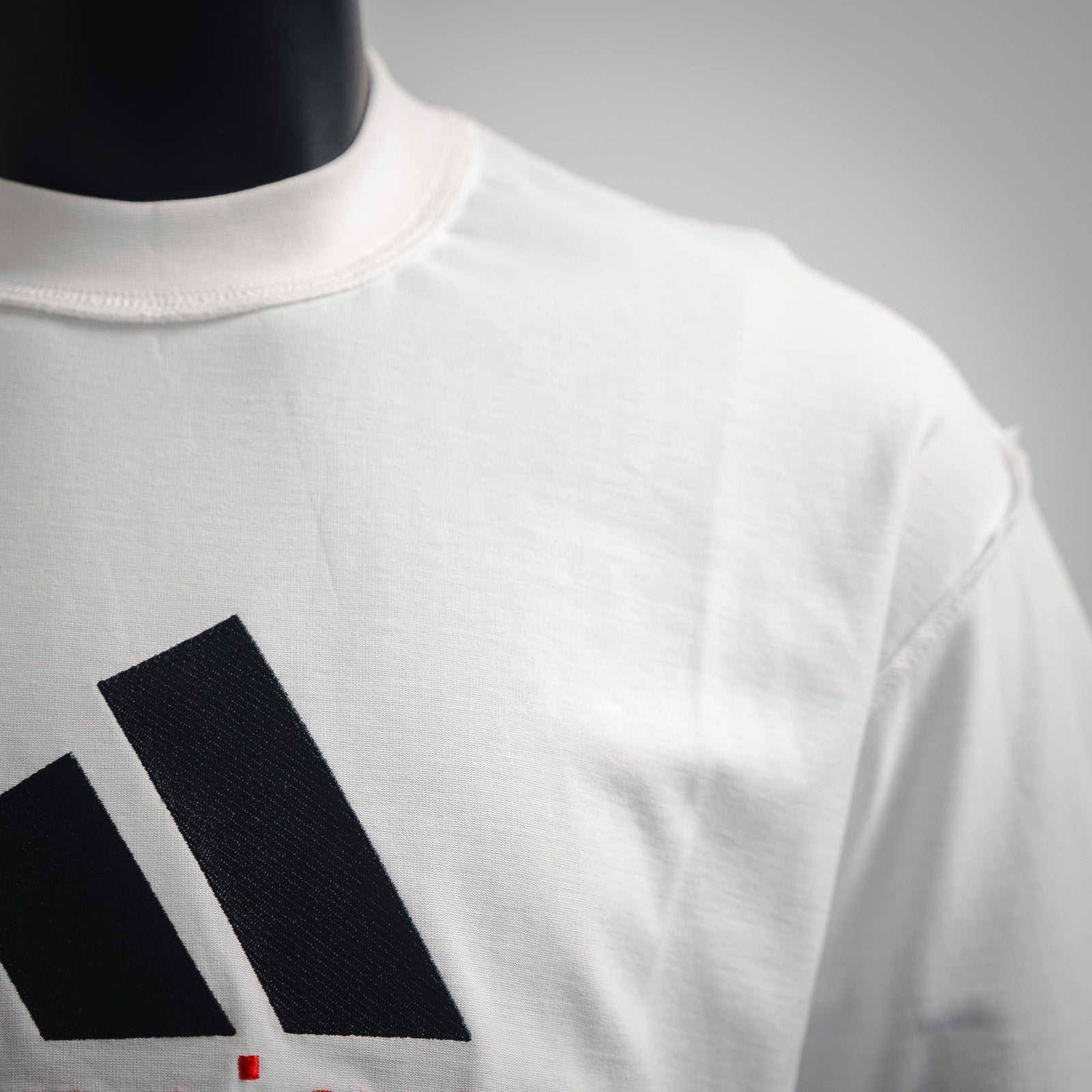 Balen x adi embroidered t-shirt