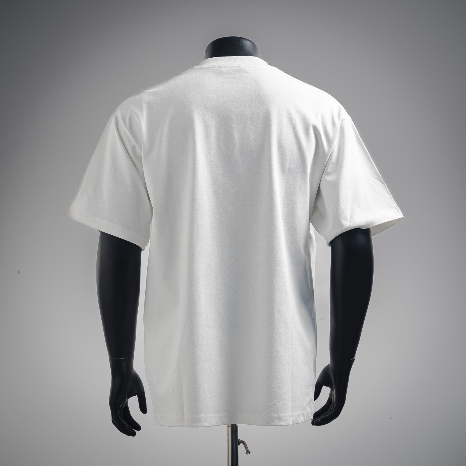 Pra 25ss print t-shirt