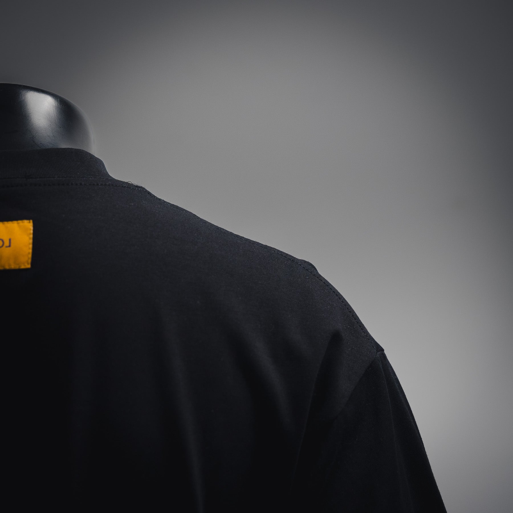 Louis 25ss print t-shirt