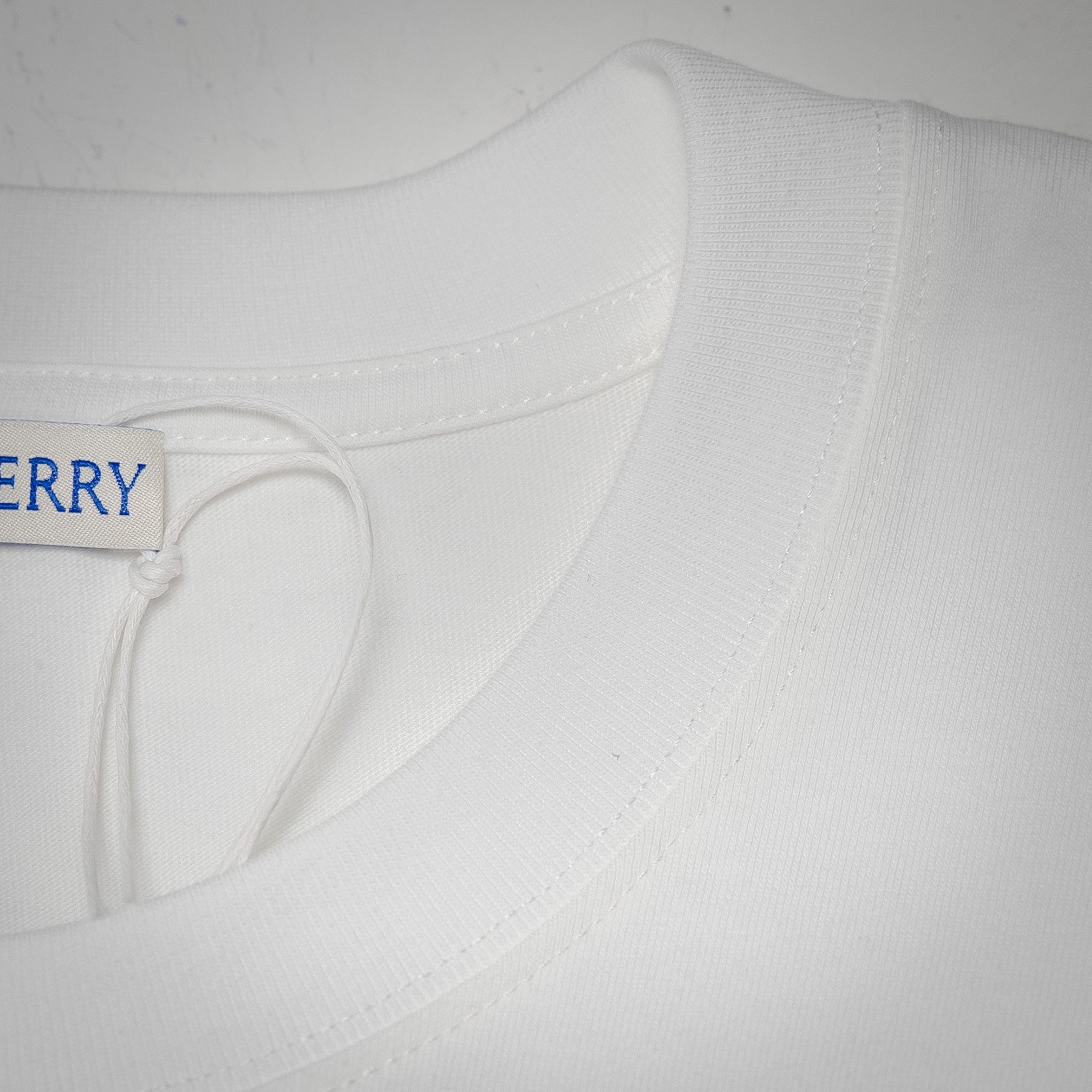 Burb 25ss print t-shirt