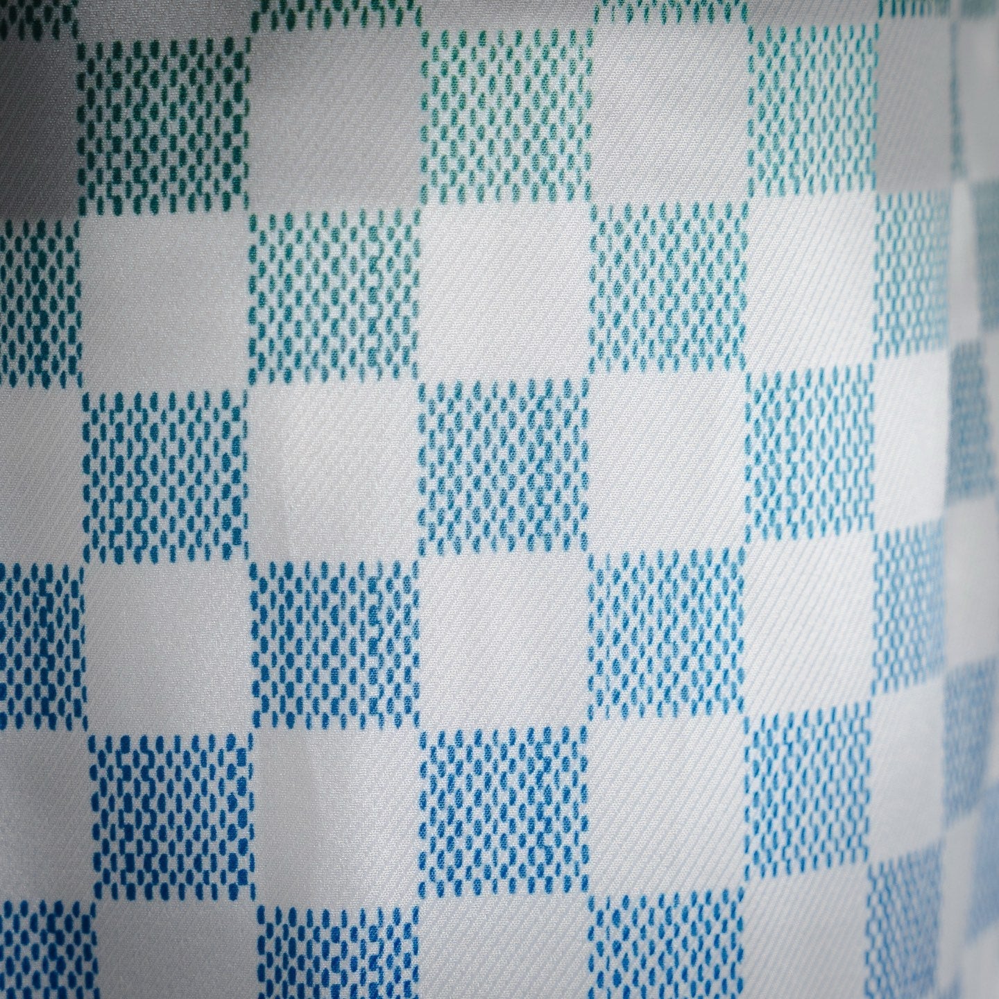 Louis 25ss printed short