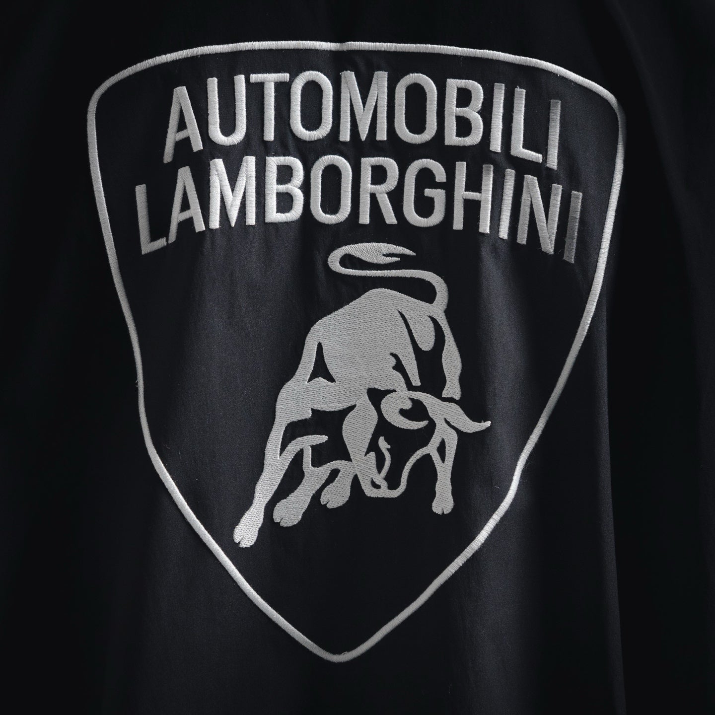 Balen embroidered jacket