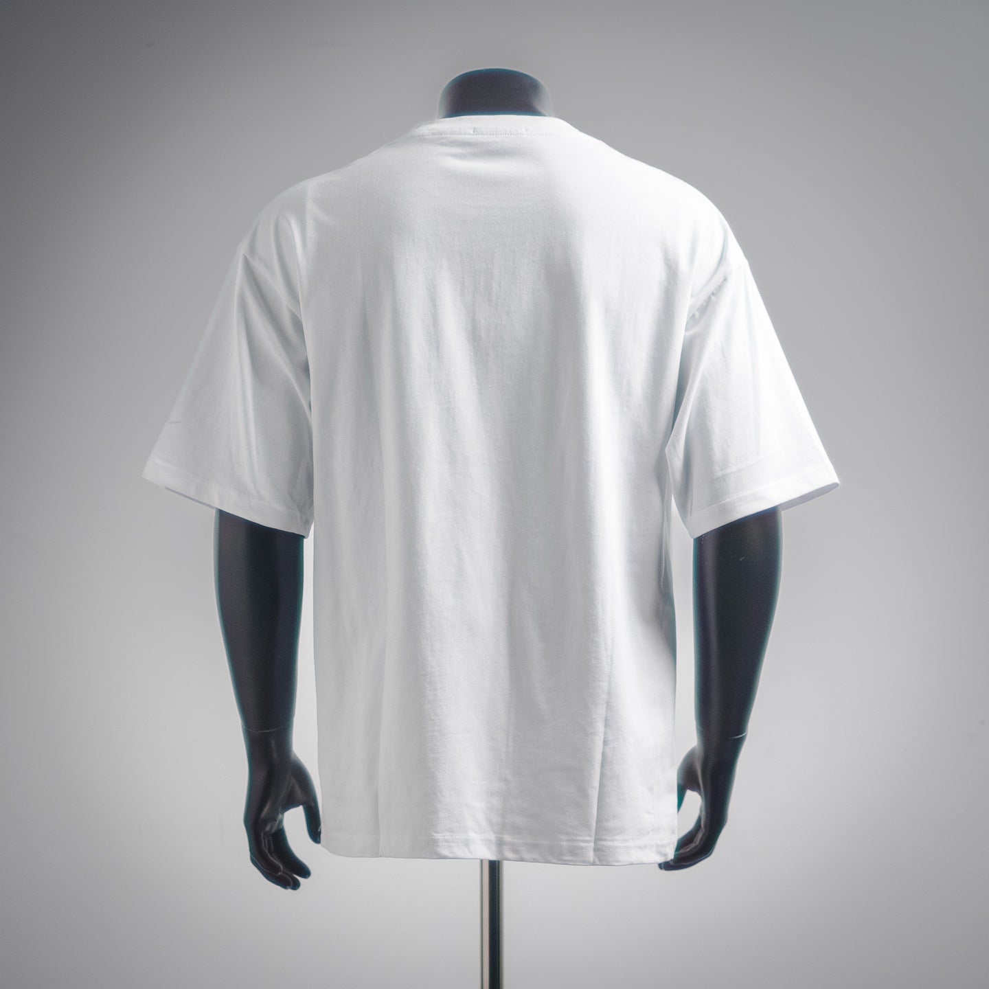 Pra 25ss printed t-shirt