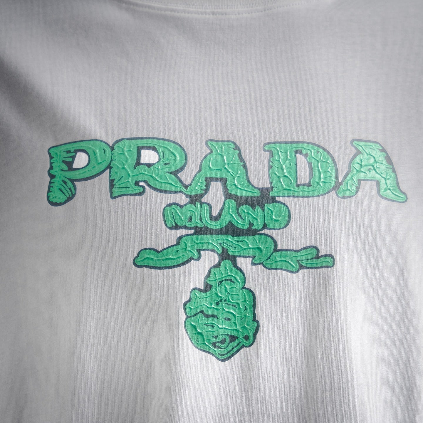 Pra 25ss printed t-shirt
