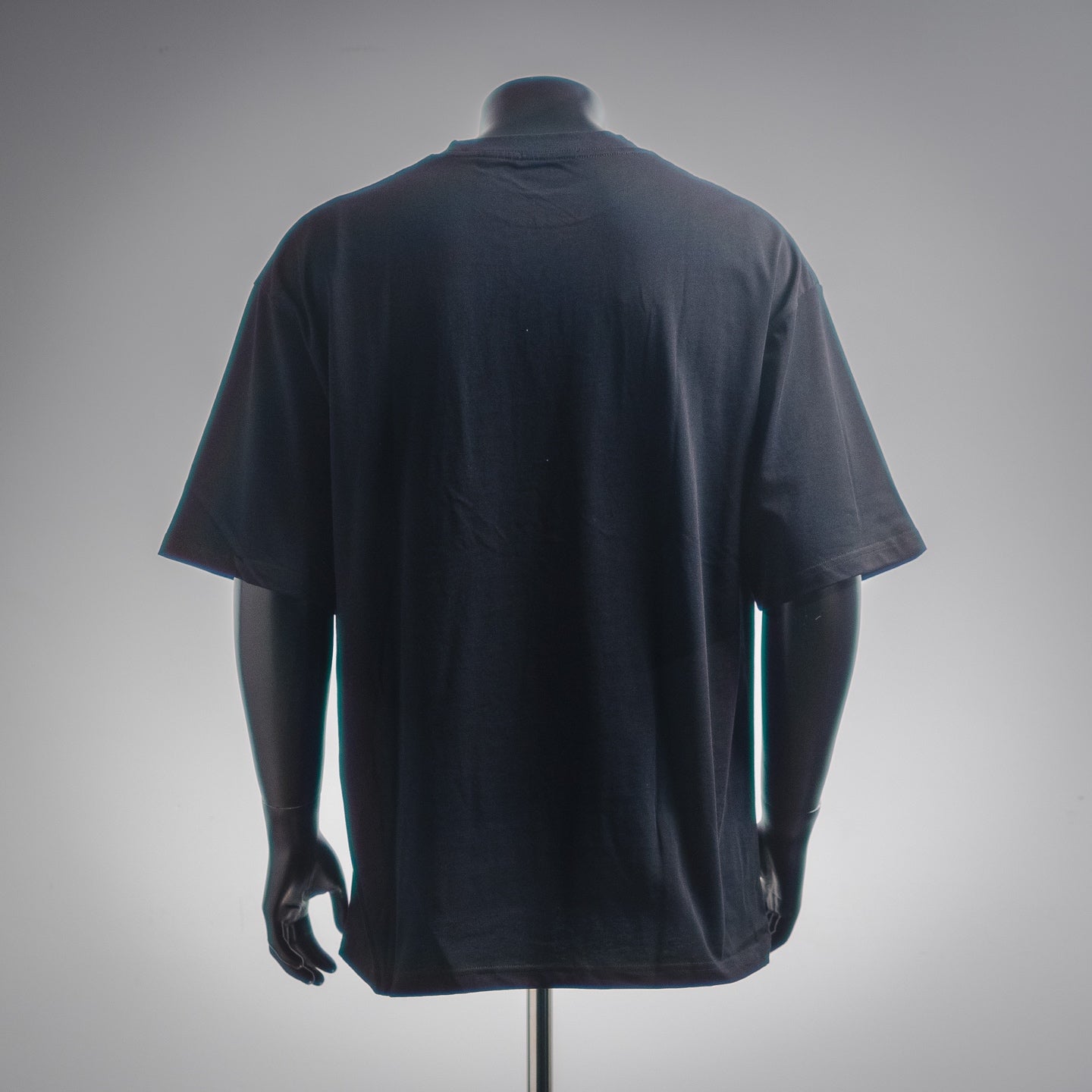 Pra 25ss printed t-shirt