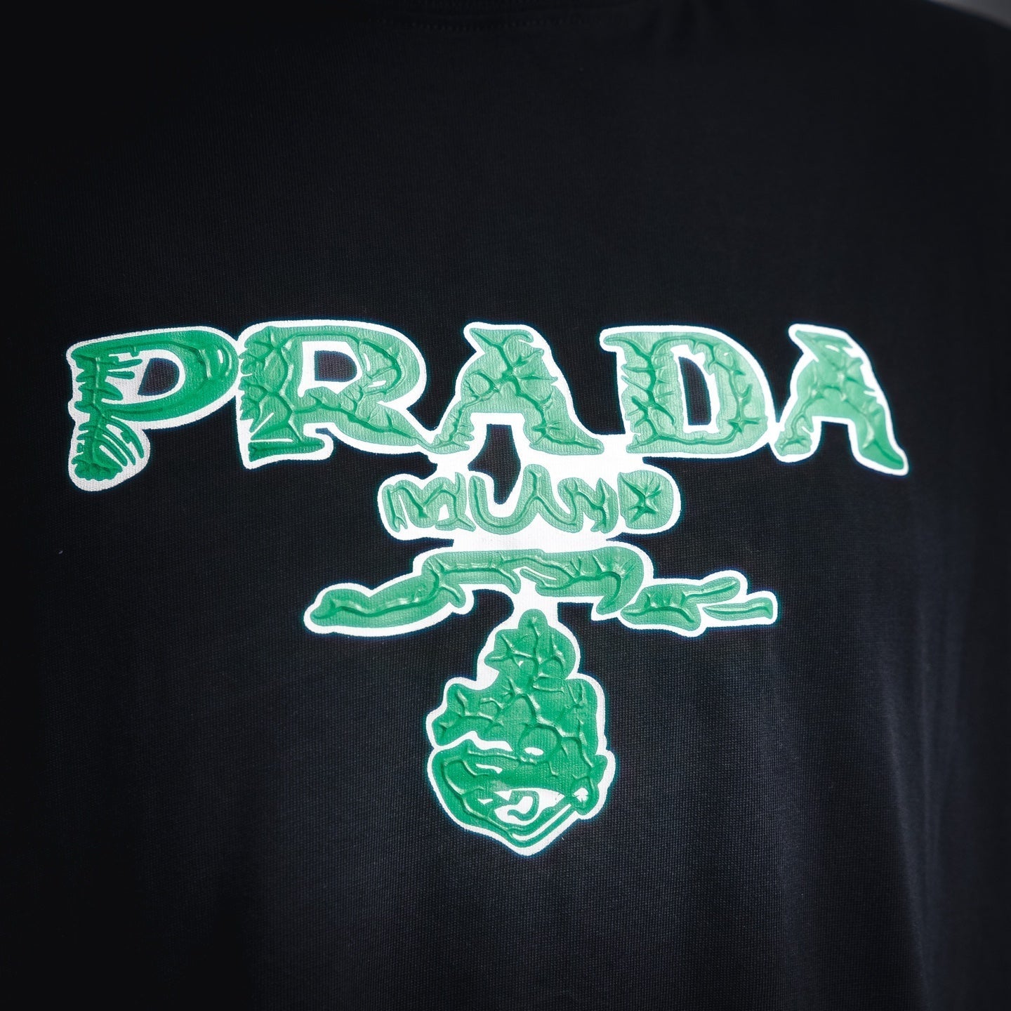 Pra 25ss printed t-shirt
