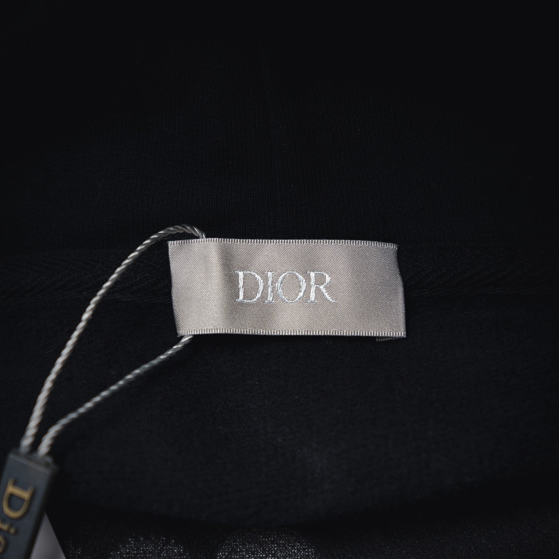 CD 25fw embroidered hoodie