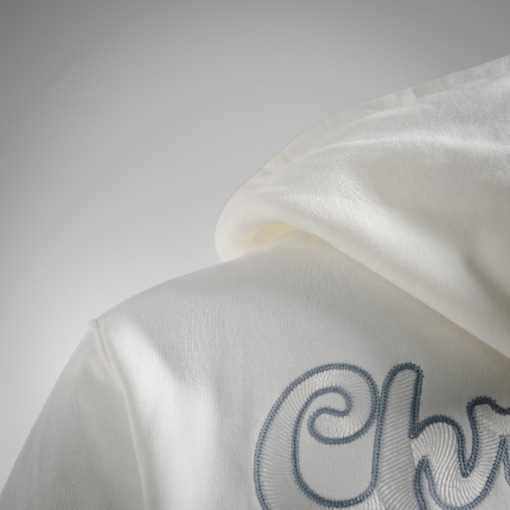 CD 25fw embroidered hoodie