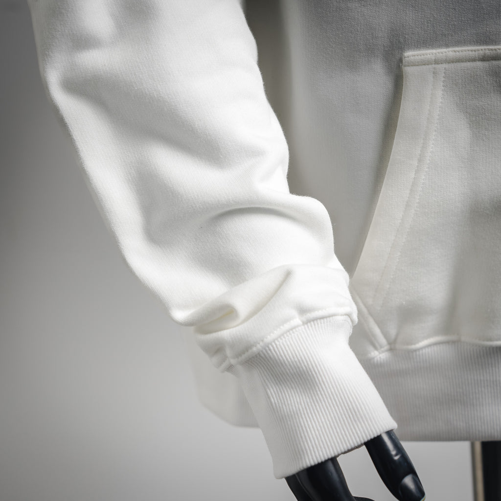 CD 25fw embroidered hoodie