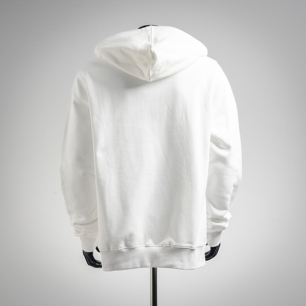 CD 25fw embroidered hoodie