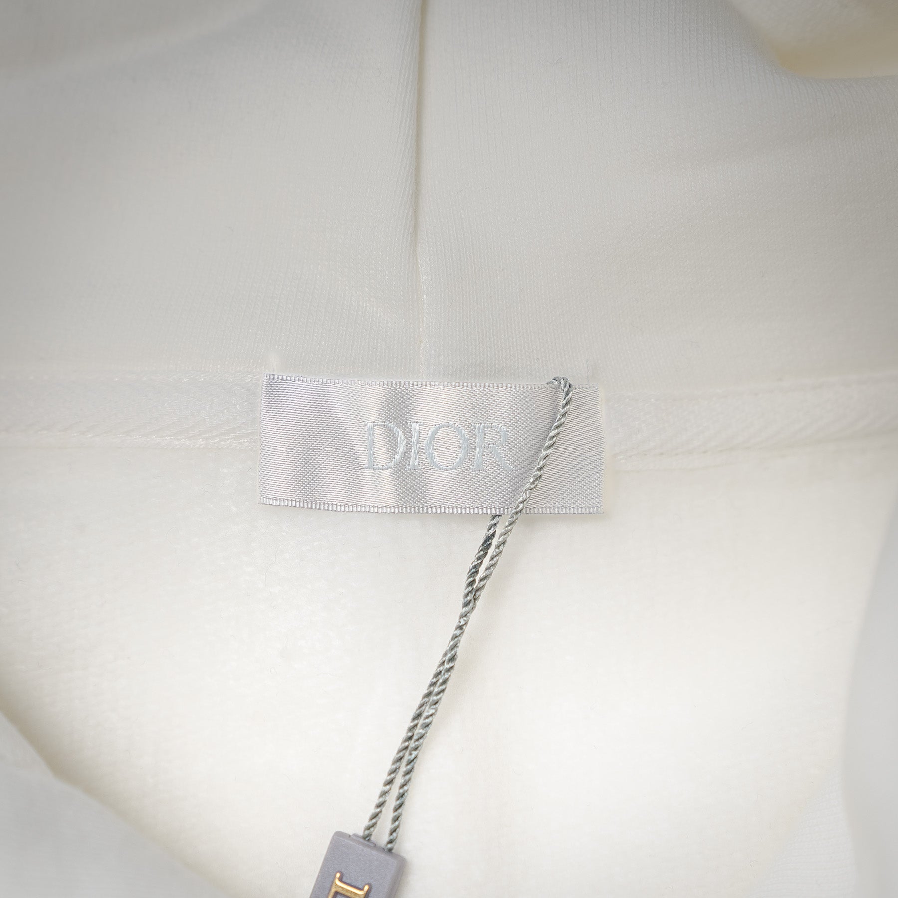 CD 25fw embroidered hoodie